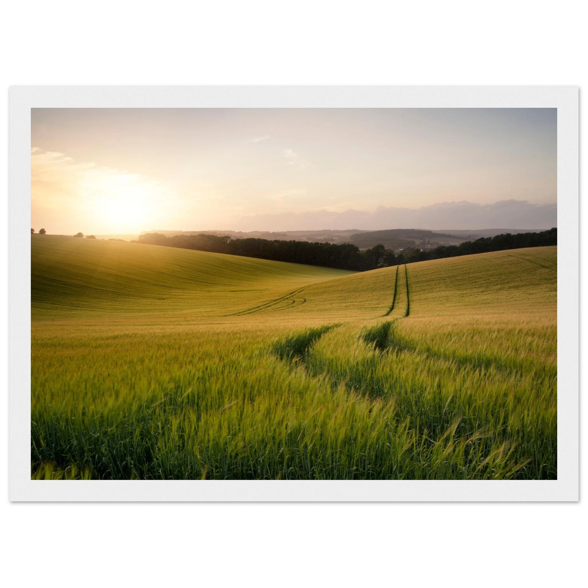 8aff6b00-9fde-4529-a88a-f395ecebbe97