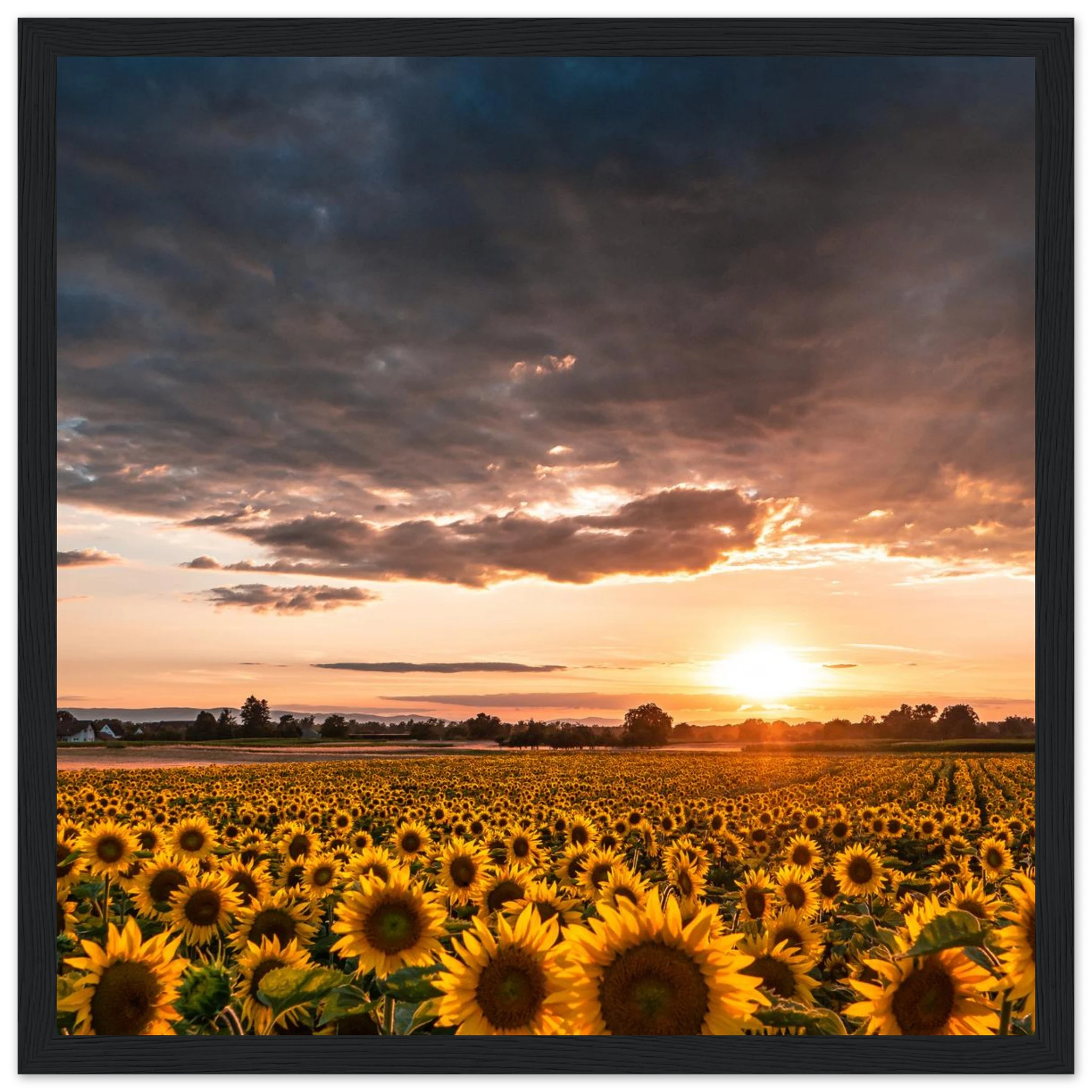 8b133a77-ad2e-43da-9b50-1e3a9c0c0955