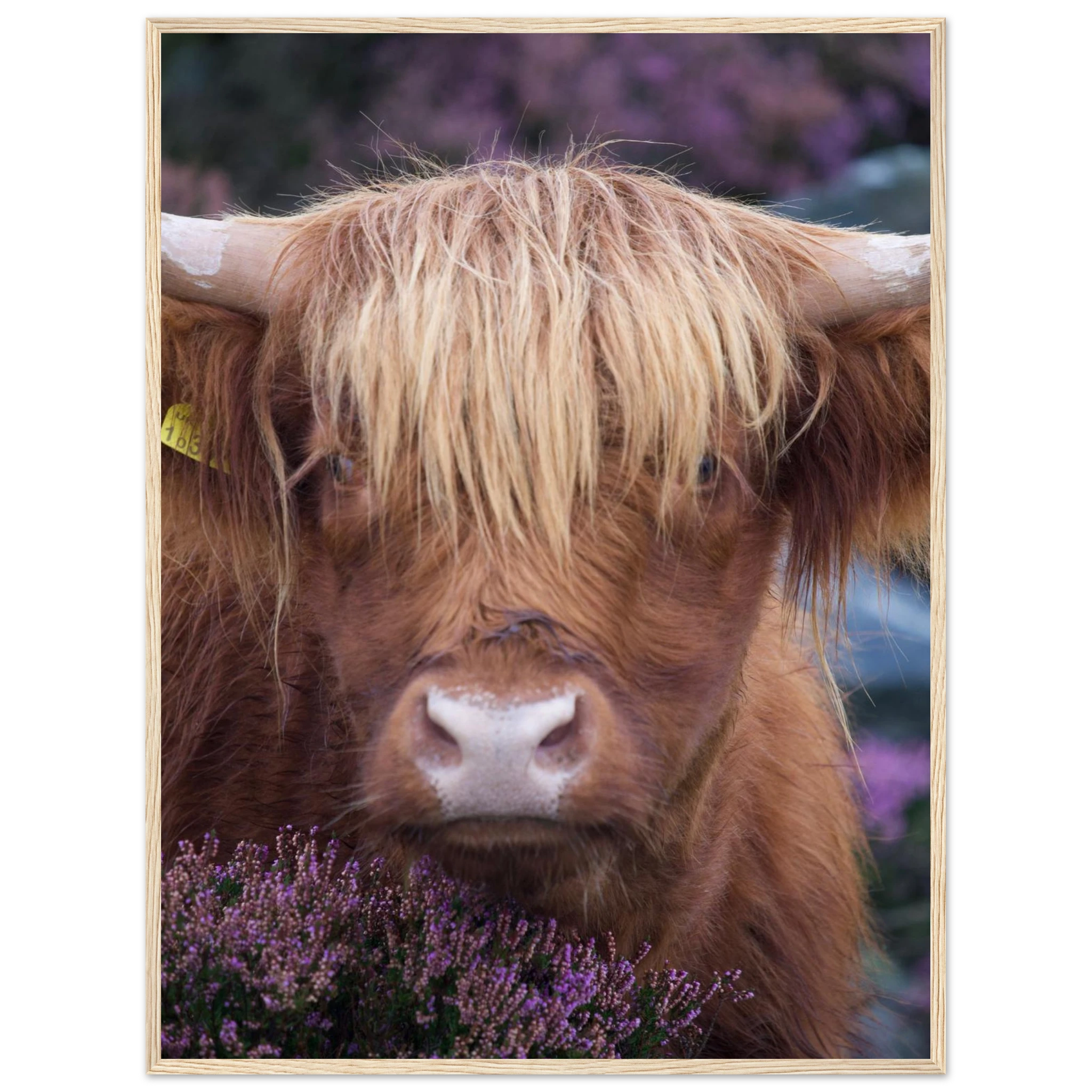 8b1fdf0c-8c50-4993-8f0e-37a66adb74ce