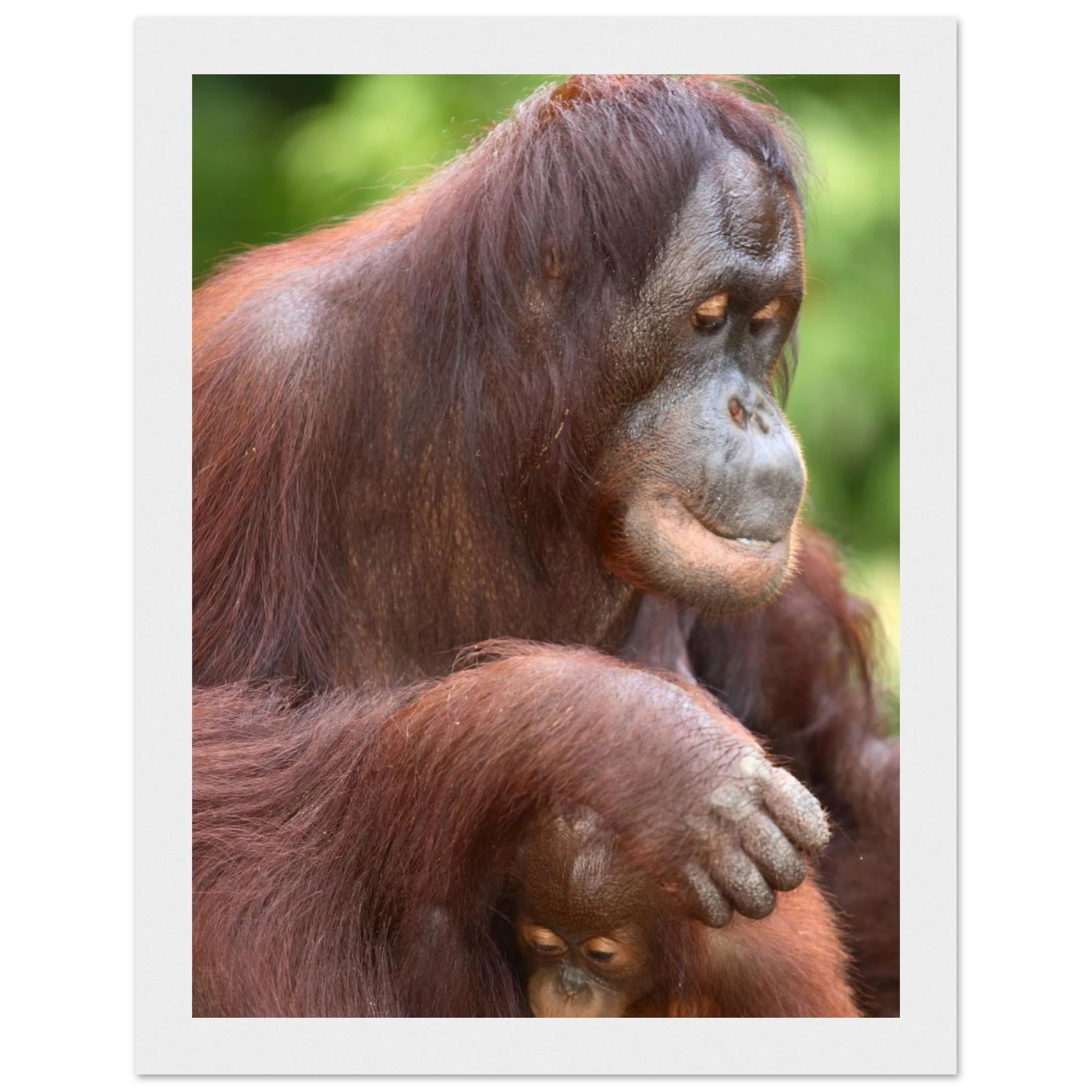 8b56d2be-c919-42fa-9607-547f8b6dc15c