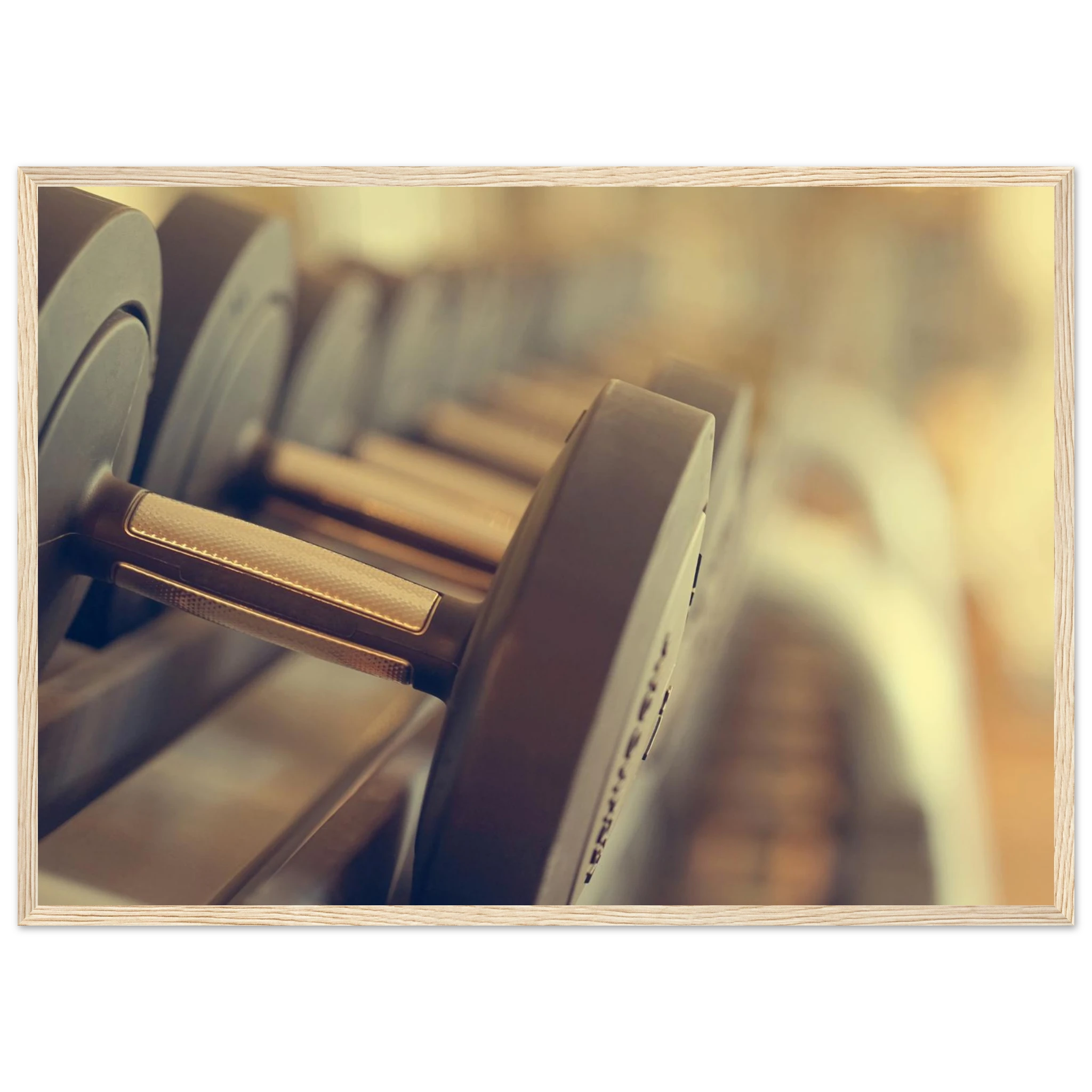 8b5b468e-4bf2-4472-a235-687783a3356d