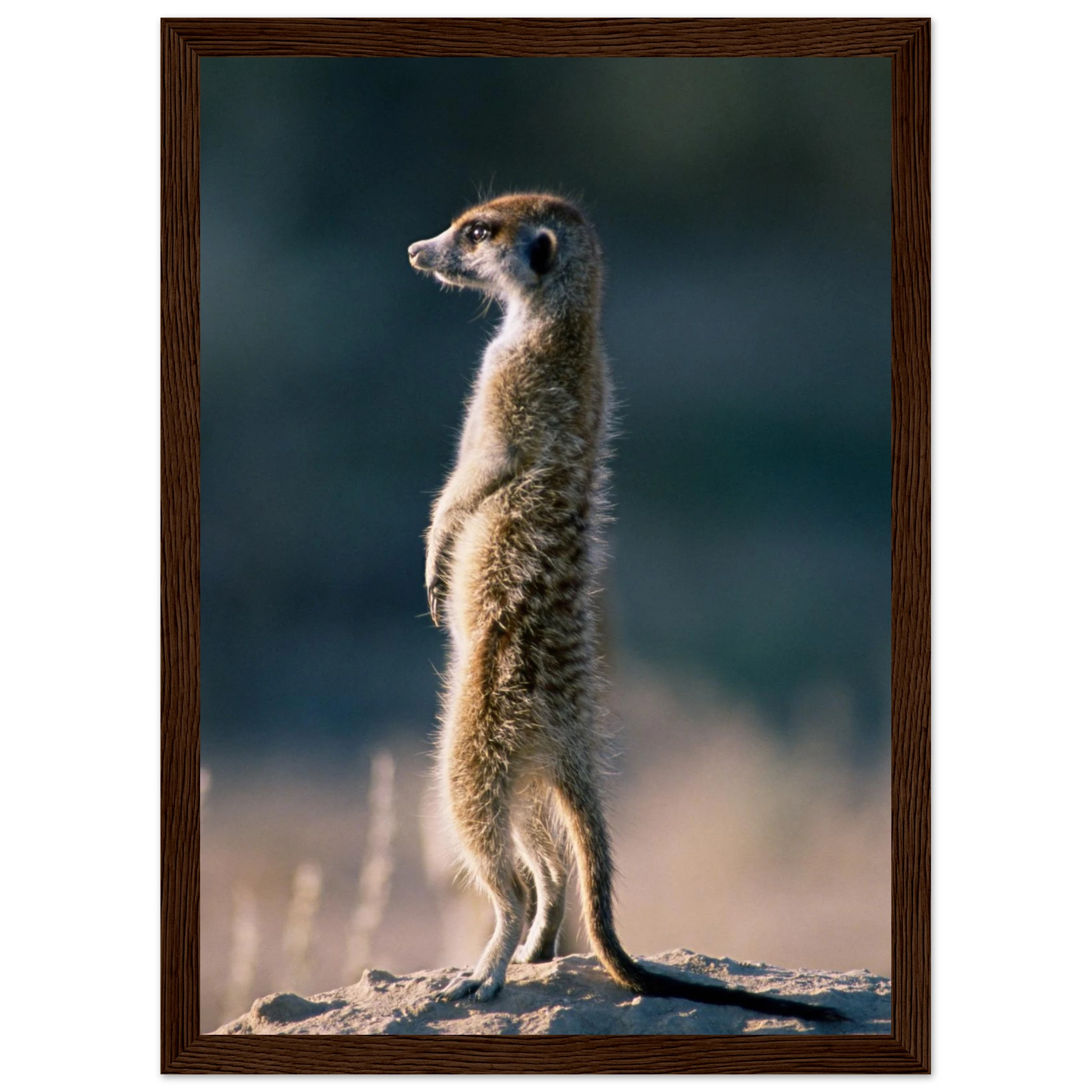 8b6a2769-6855-4140-9f10-82912e097fde