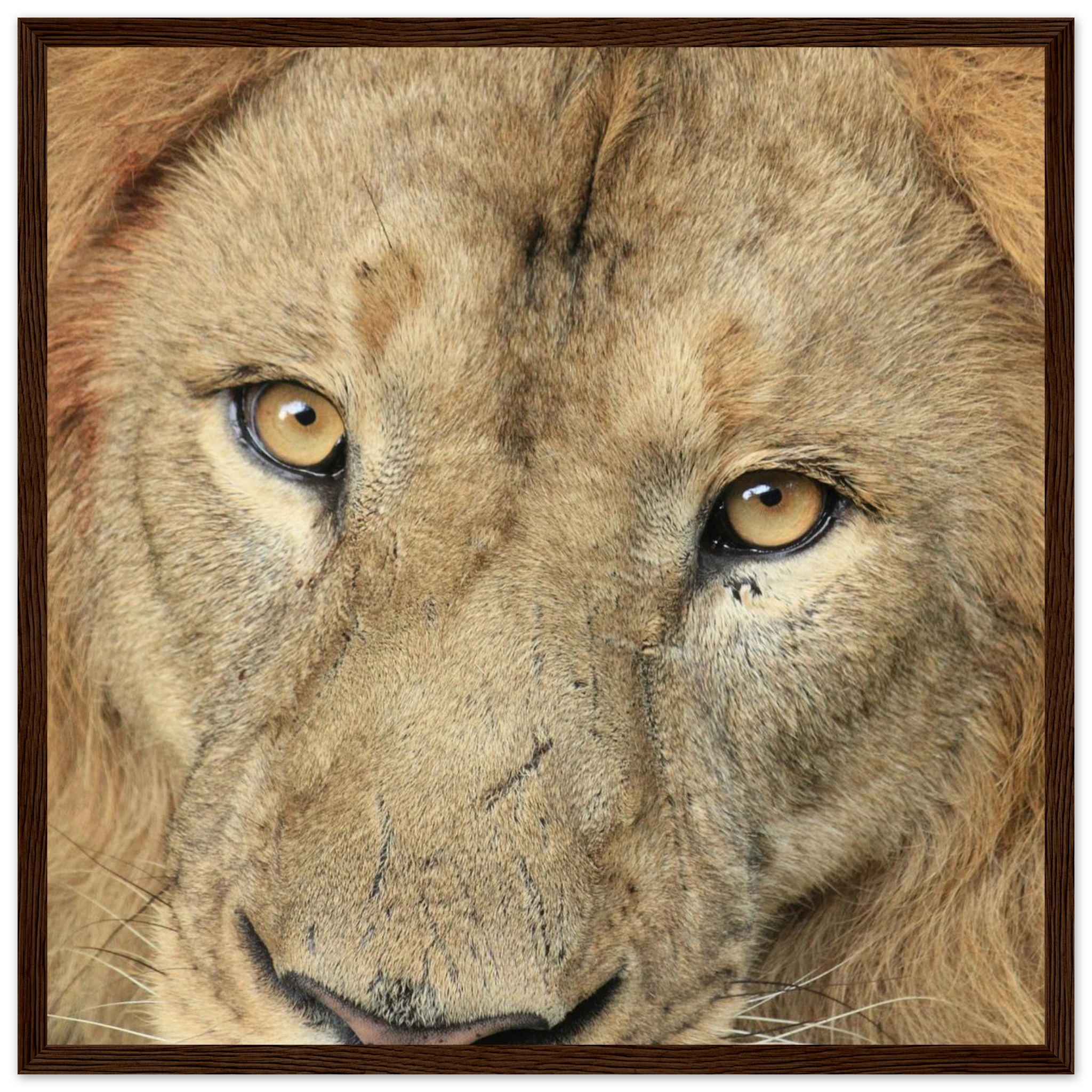 8b76a362-7eba-4007-b46d-e468e297f910