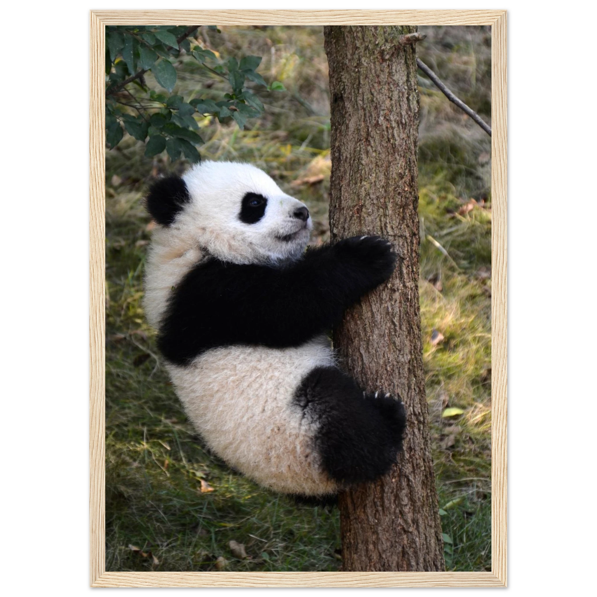 8b7b0859-934a-40cc-a5e0-9c2297821ce3