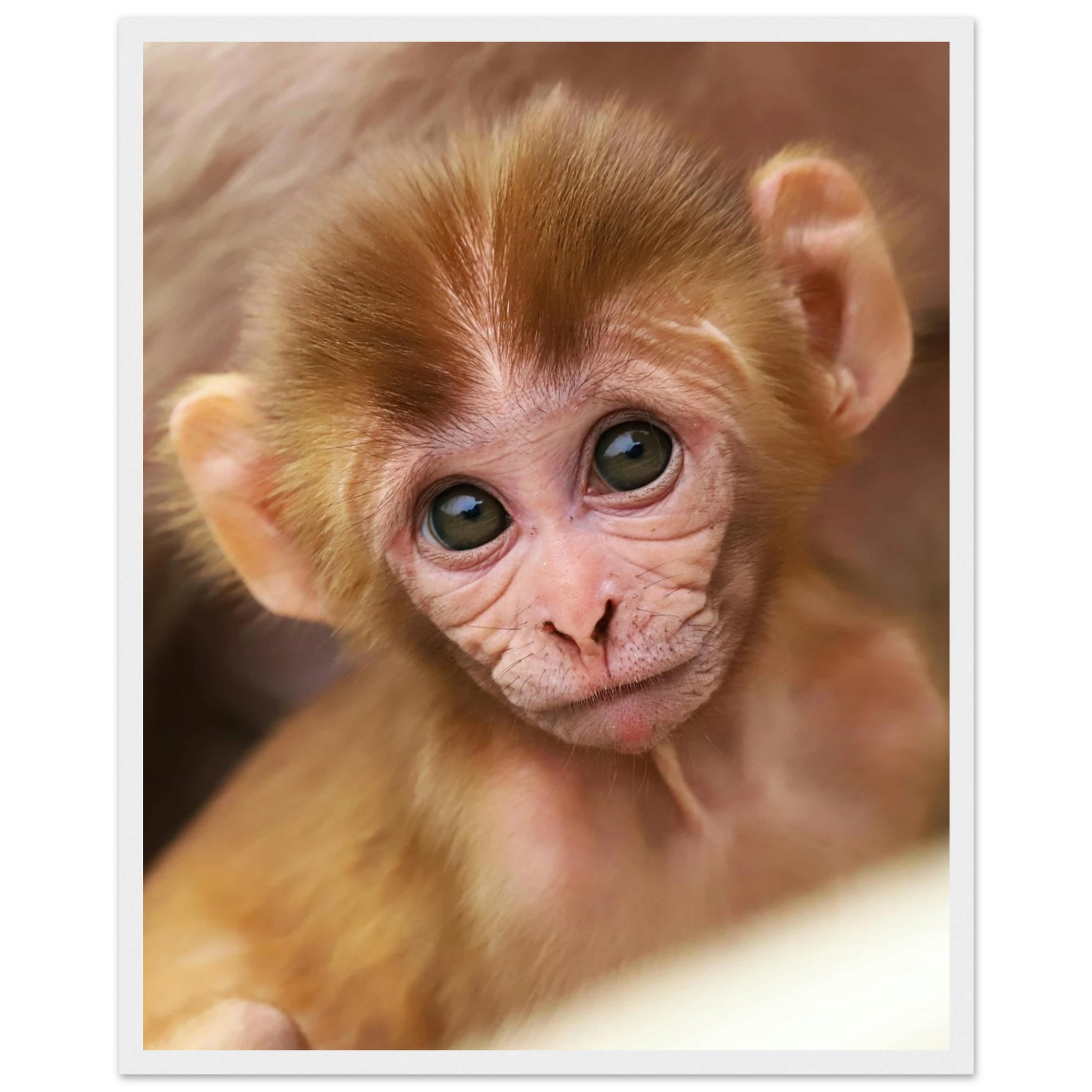 8bb7f69d-6721-4b15-a399-19a8c3d3757f