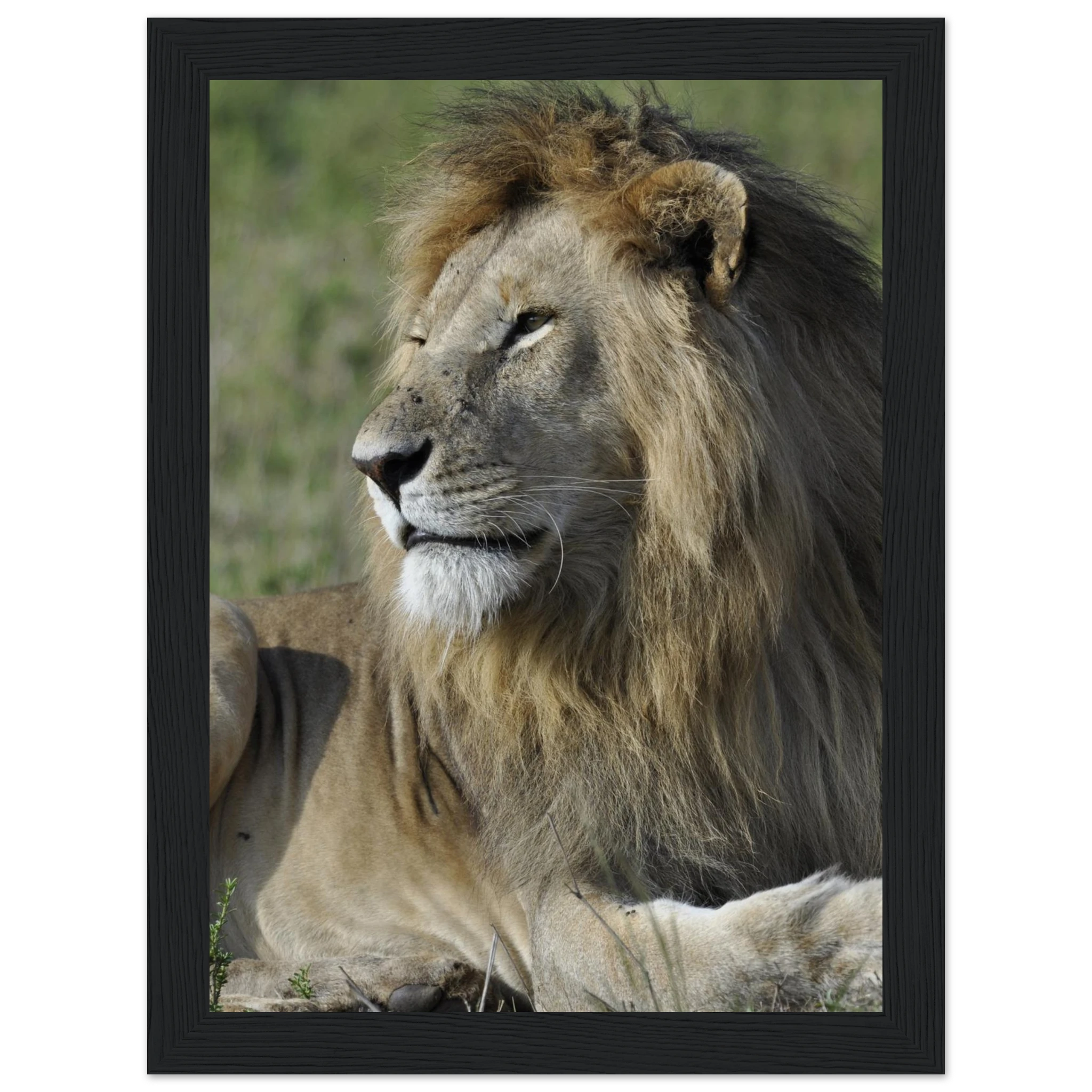 8bee51d2-9284-40b5-8e39-c7a34689b531