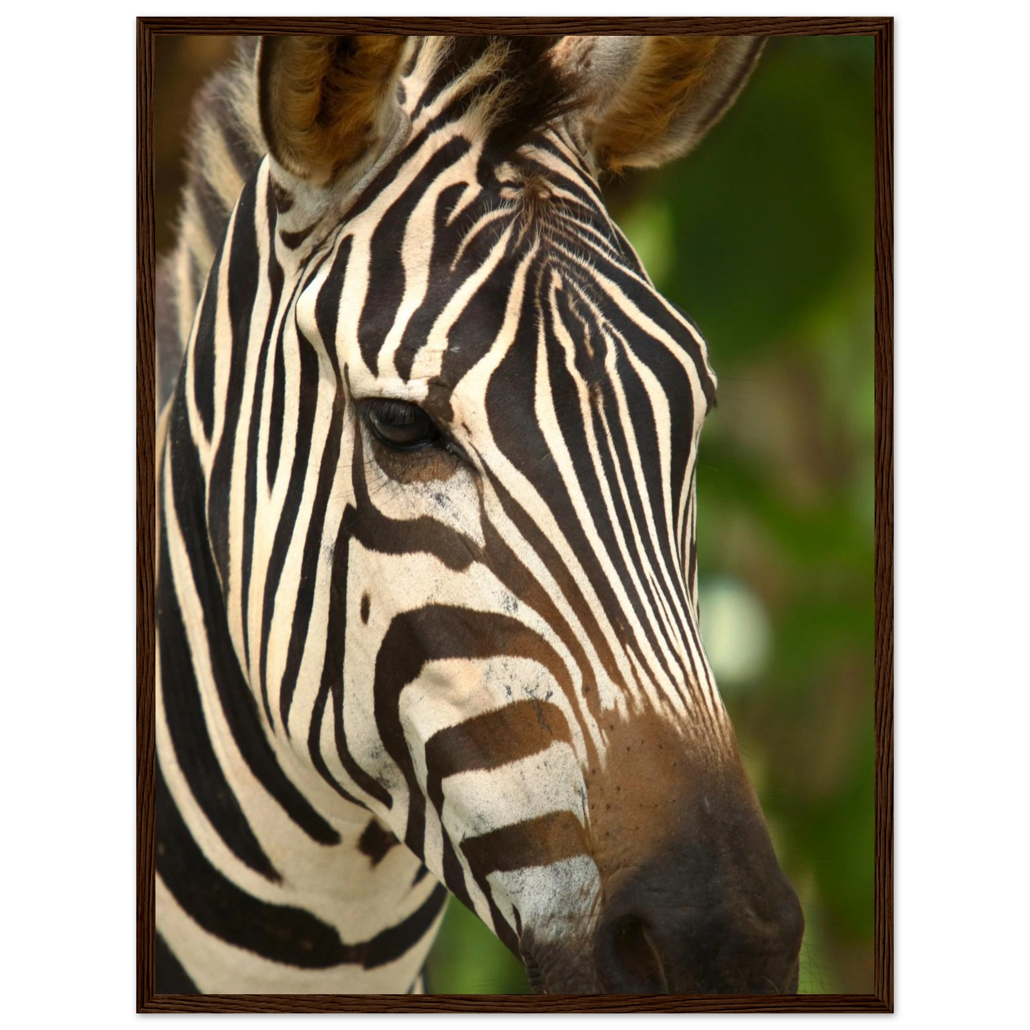 8c0e83f2-b8c7-4cd1-b32d-817ba7a42f3d