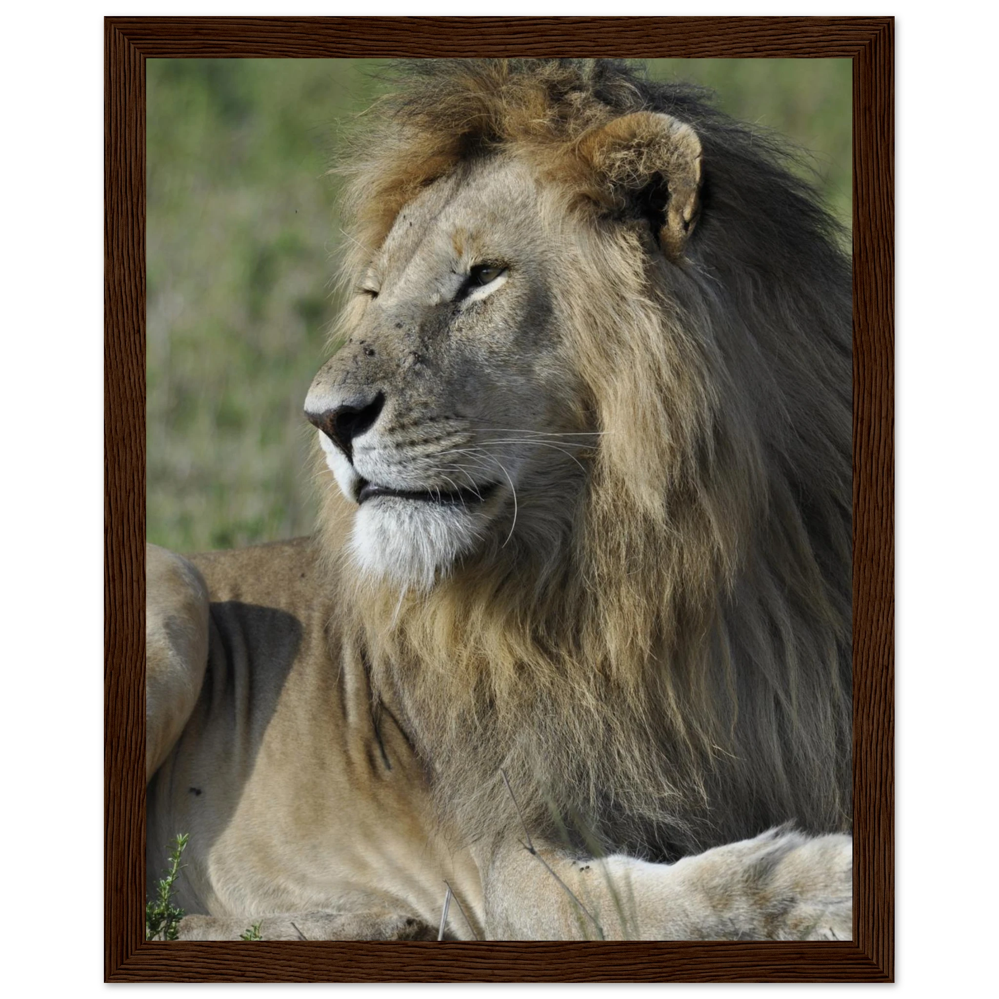 8c0ec7f9-e0a7-4794-befd-1885a29b7982