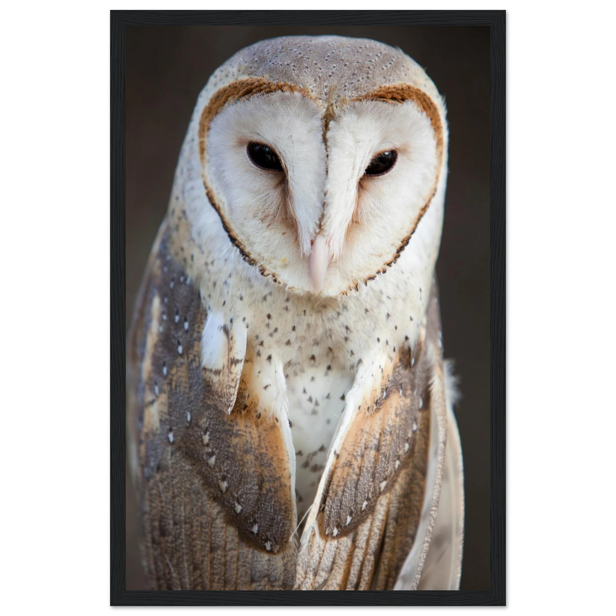 8c13eb2e-4d5a-4481-b13a-6942197f4269