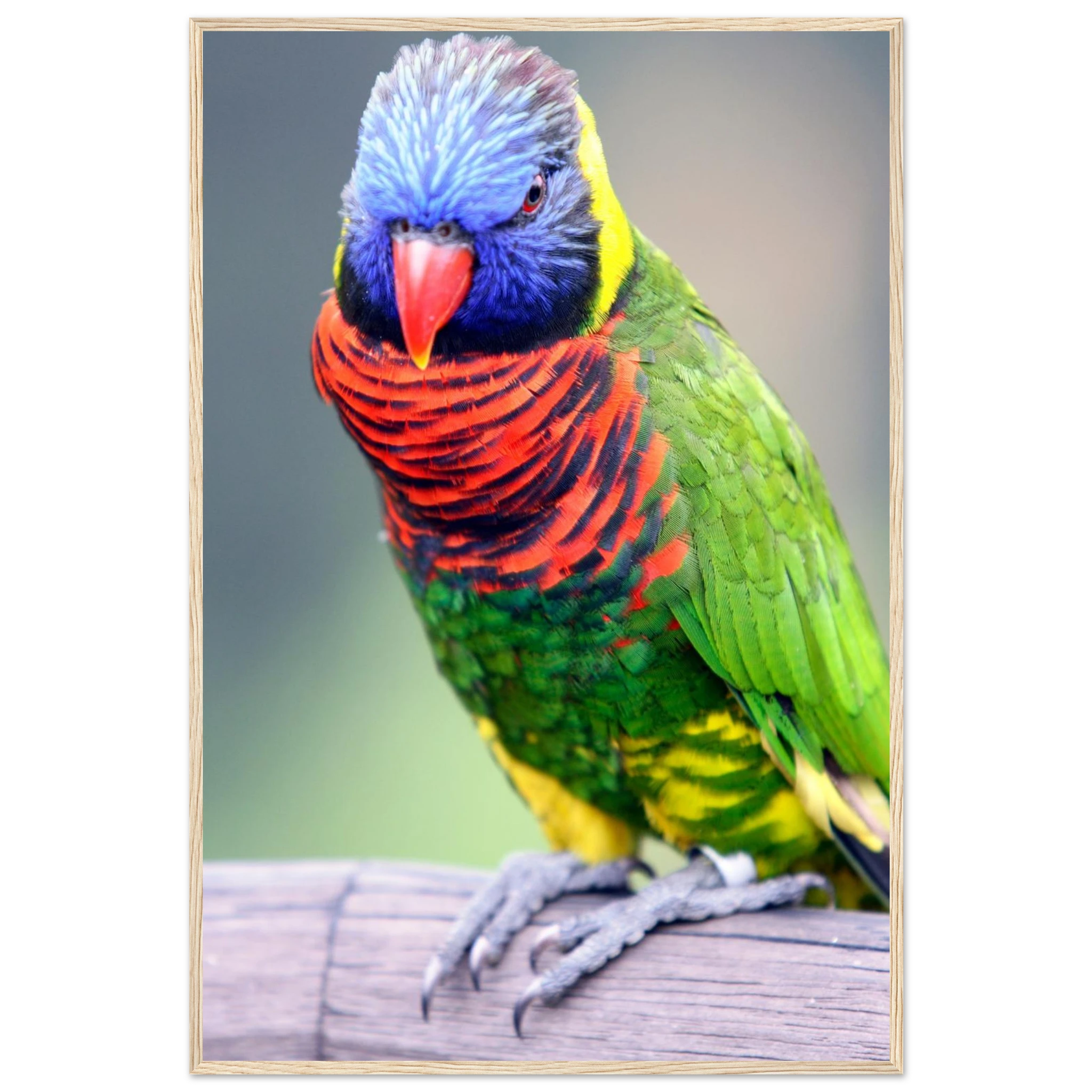 8c951a28-8935-48a4-8aa4-0ec2785afa4c