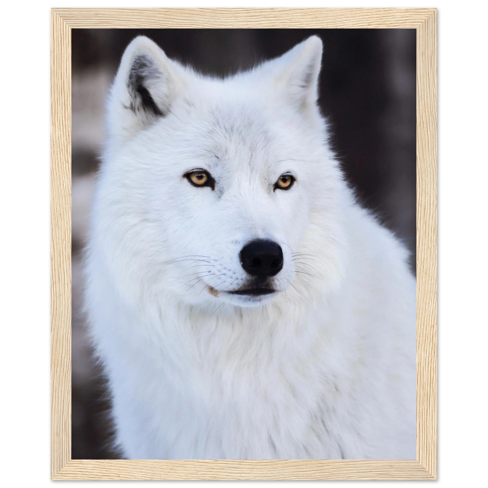 8c9a789f-7568-4175-87c9-8d3aa6645d9e