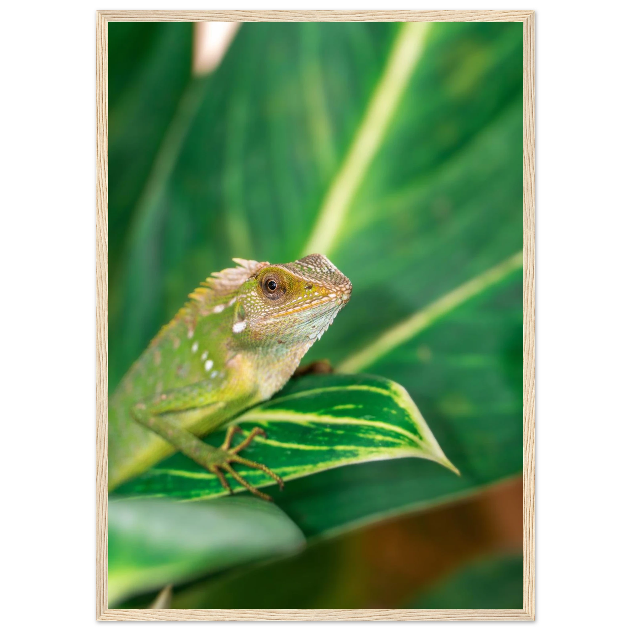 8cbae7c4-531d-4ca0-90f3-3541966c5962