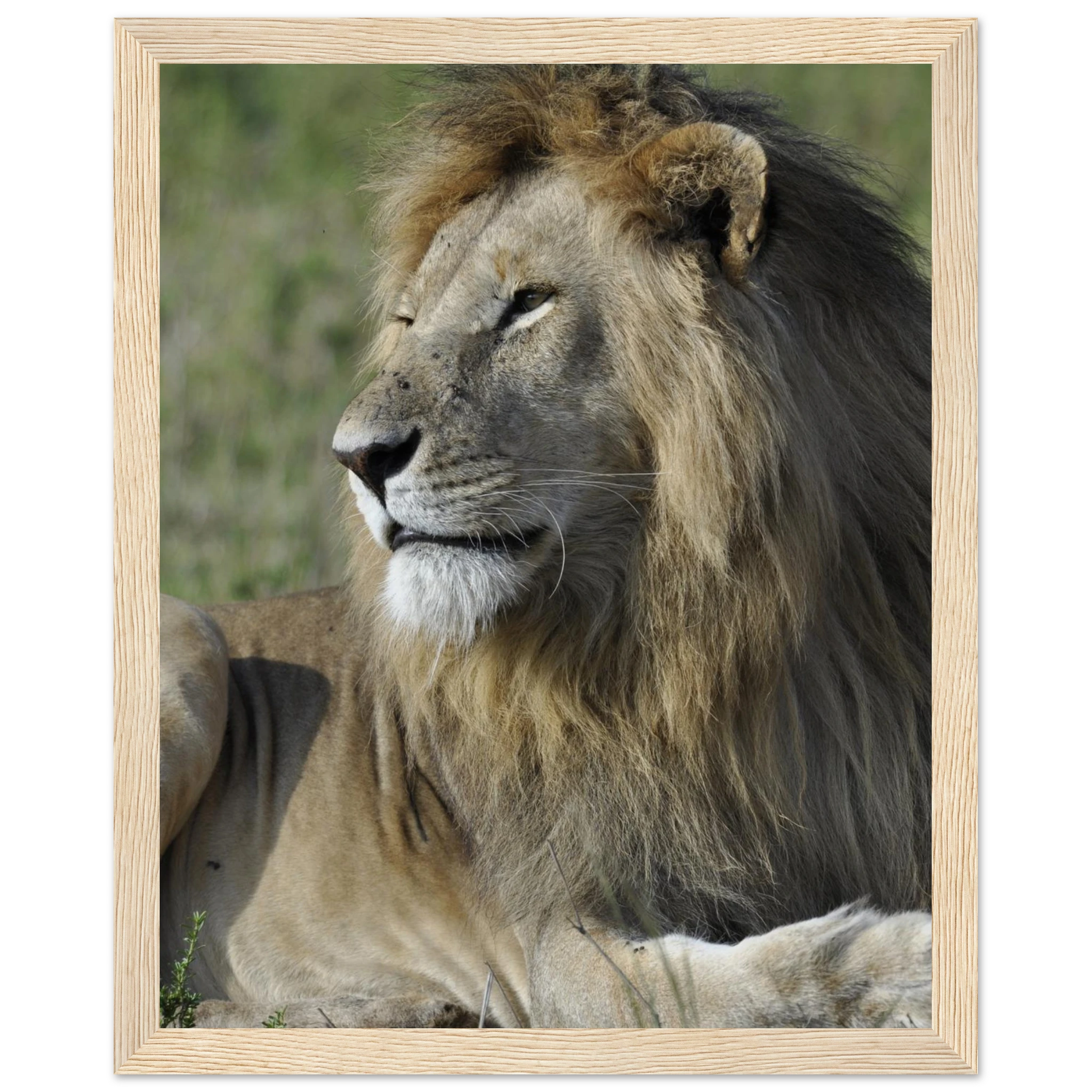 8d056e18-1a93-4e28-904a-971003792f53