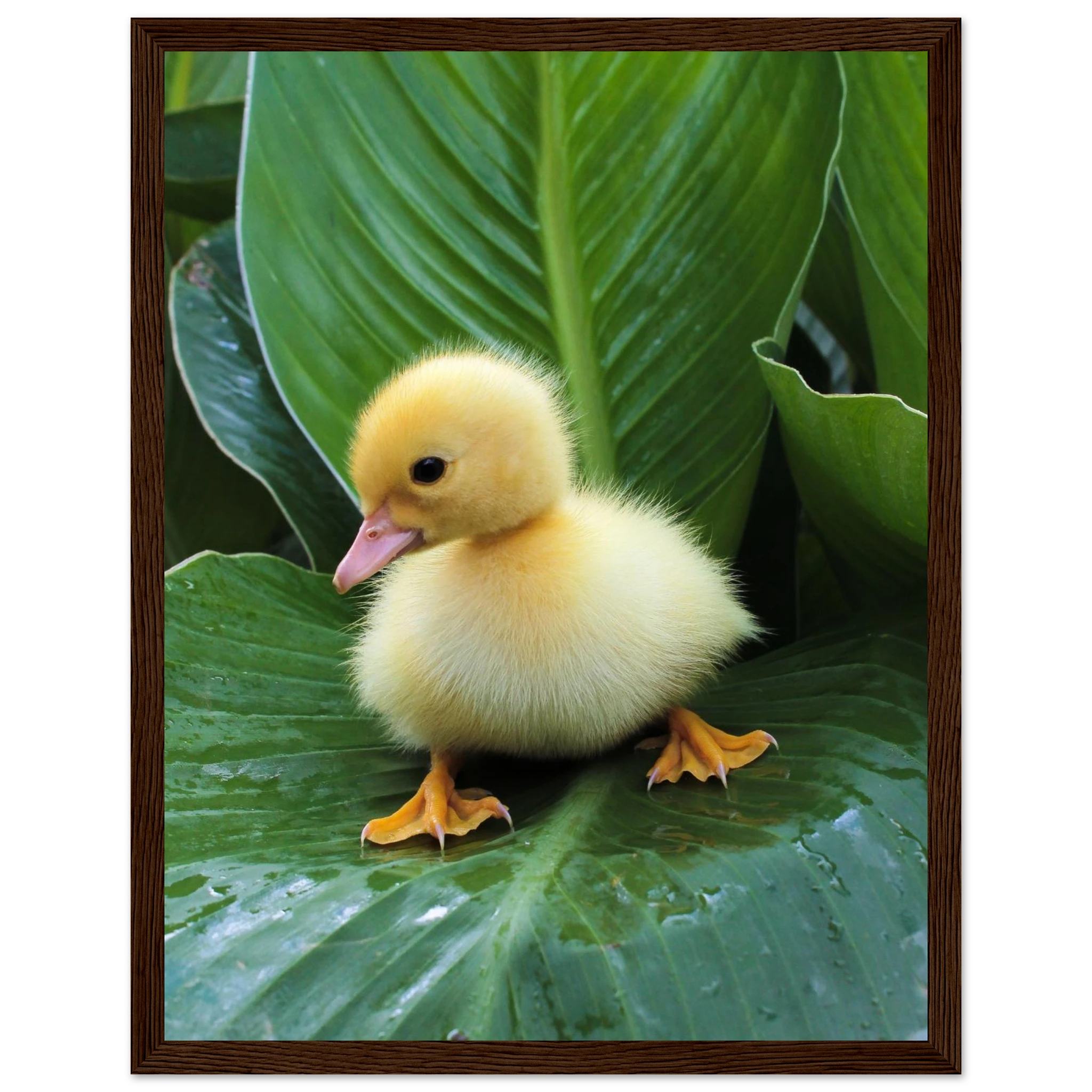 8d0ae7a9-667e-4c76-9b9e-32c9638bf8e1