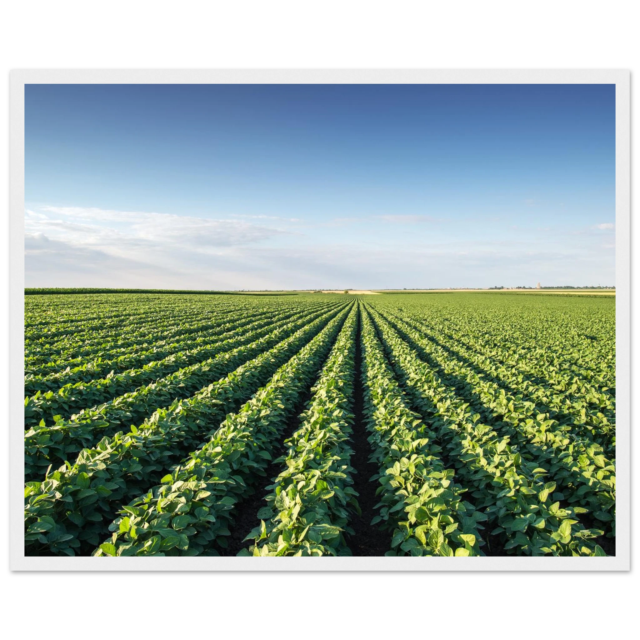 8d11a283-cd64-4120-b2f0-2c1b3cb5ddc3