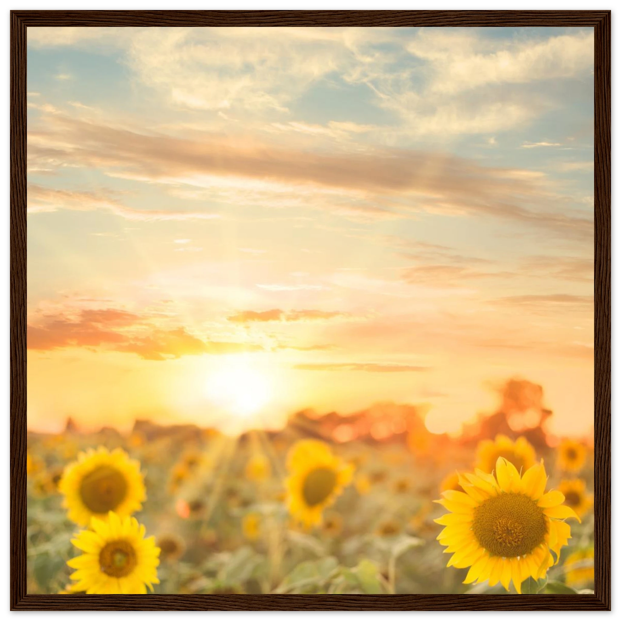 8d409413-8944-48cd-970e-3139a35b6edd