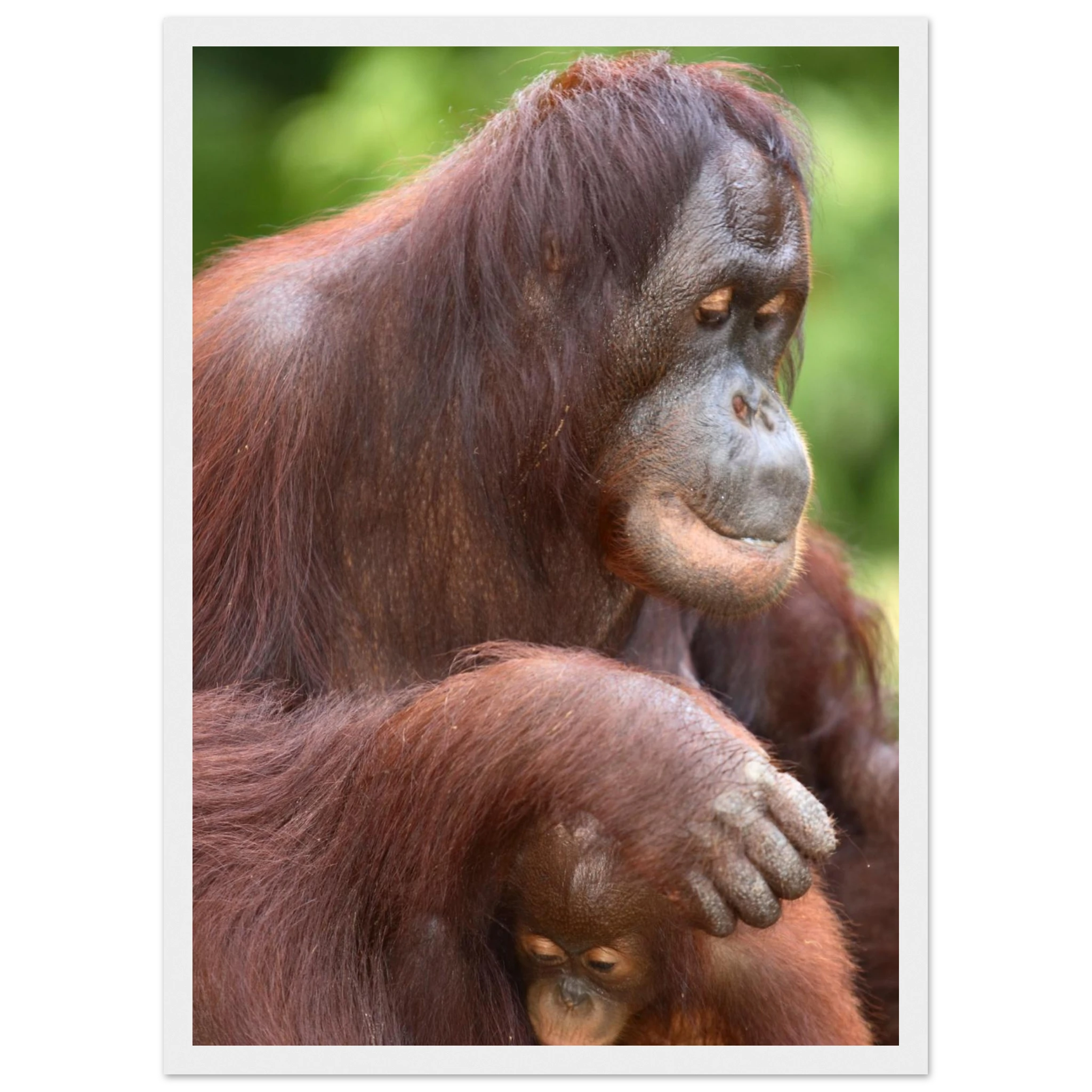 8d48cad5-b204-4b5b-b3ac-6949c2d1bcb9