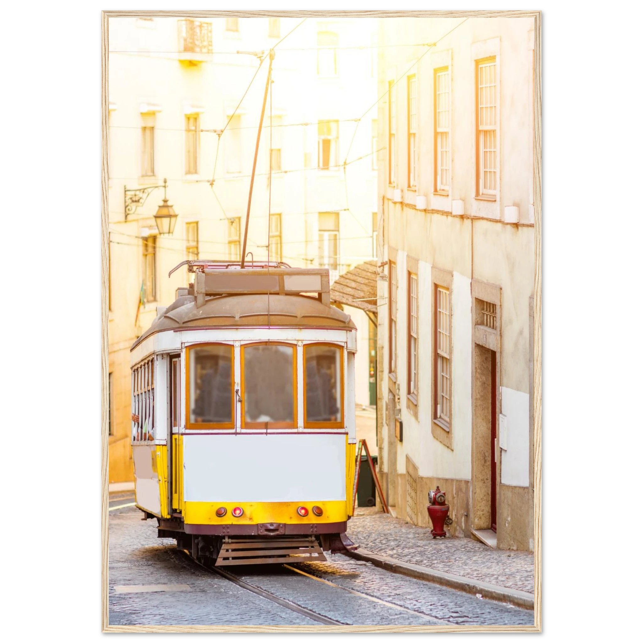 8d4ddd1f-9f02-4a9b-bec2-8f5c0b0b03a6