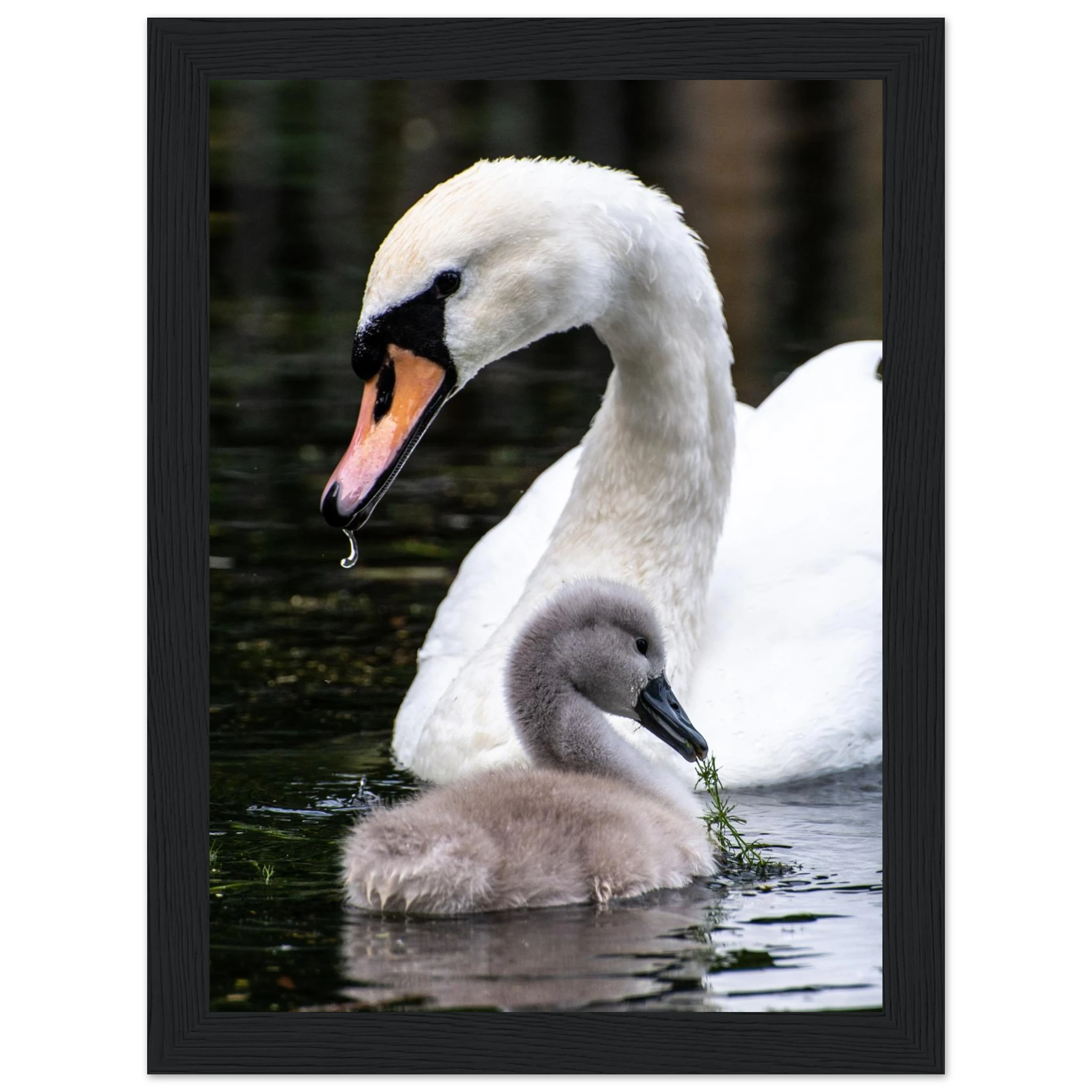 8d55075c-dee7-443e-889d-4fd65fde6b99