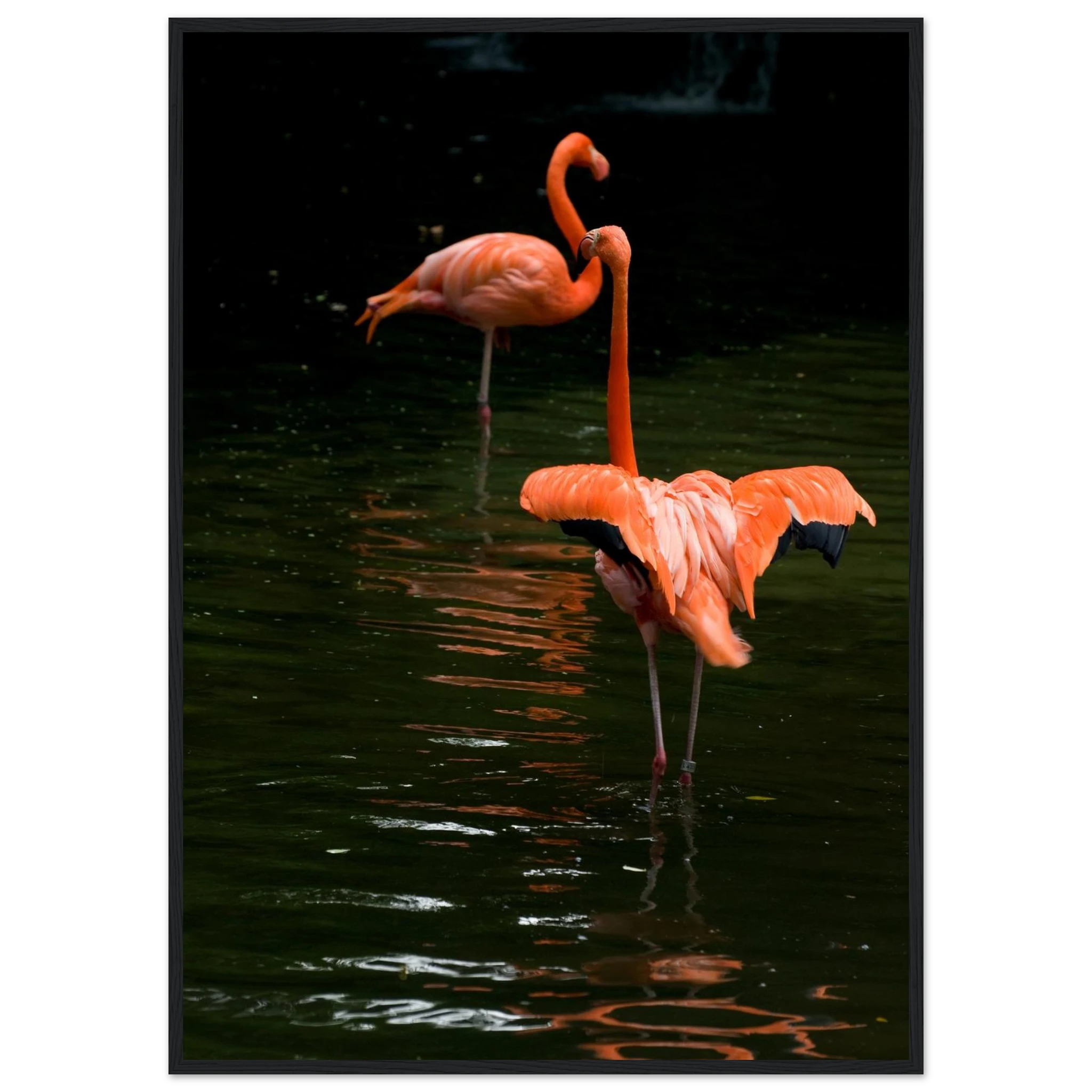 8d6d18e6-1295-4a84-81e6-ea7347f55e2c