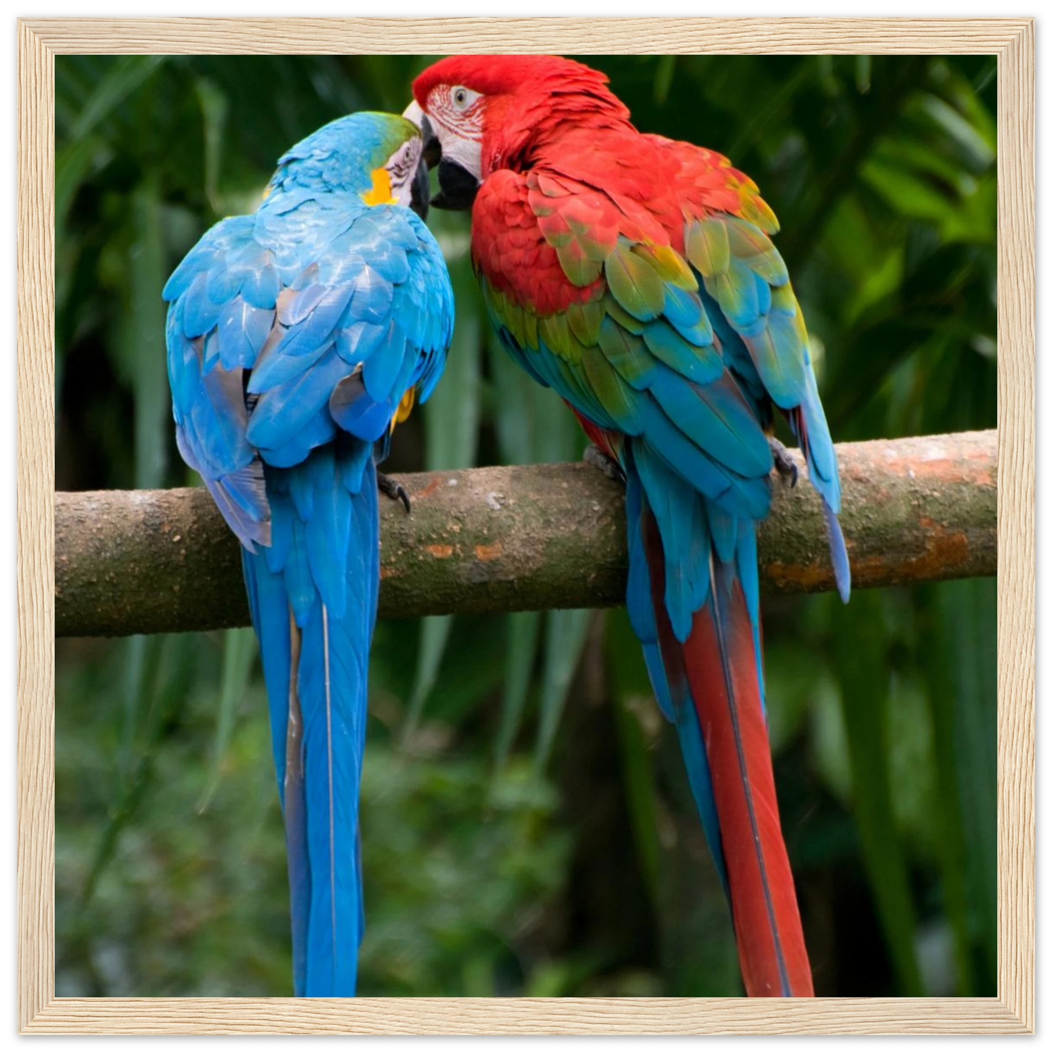 8d8a2b97-2e84-4d17-b60e-d85c8382c9da