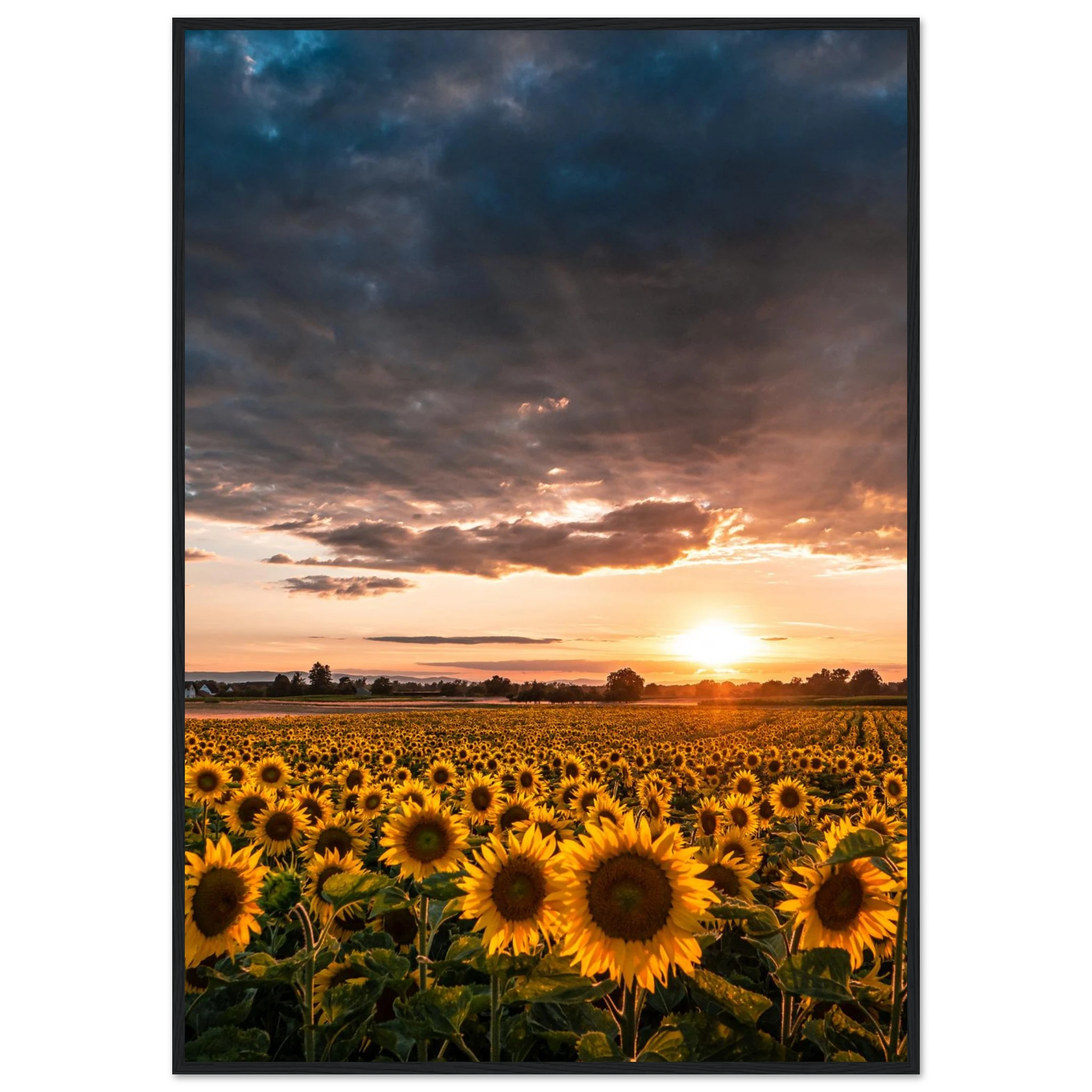 8dd7a819-9263-4178-9792-0953faeb245a