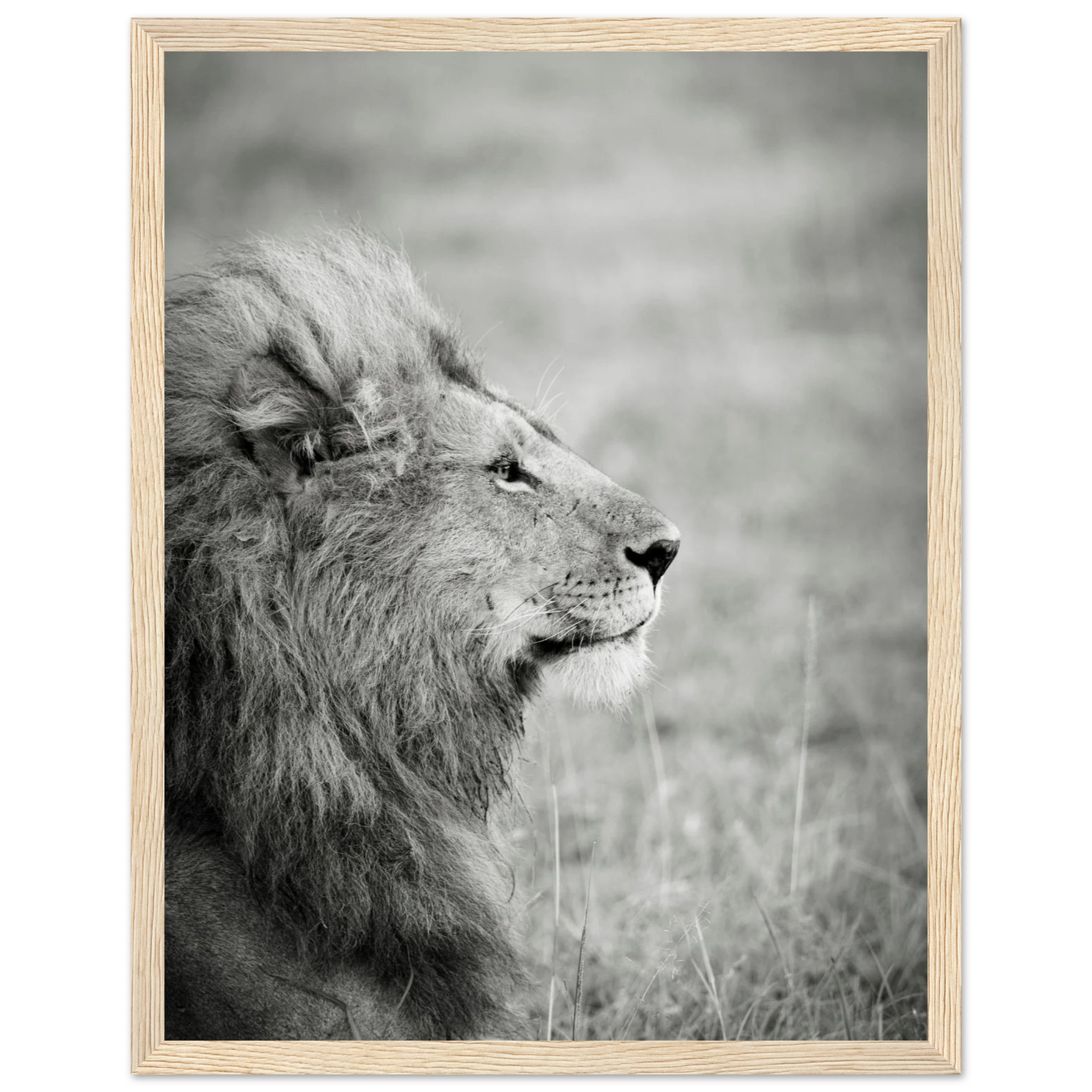 8ddc0ad8-925c-4398-bad3-c8841ab49a2a