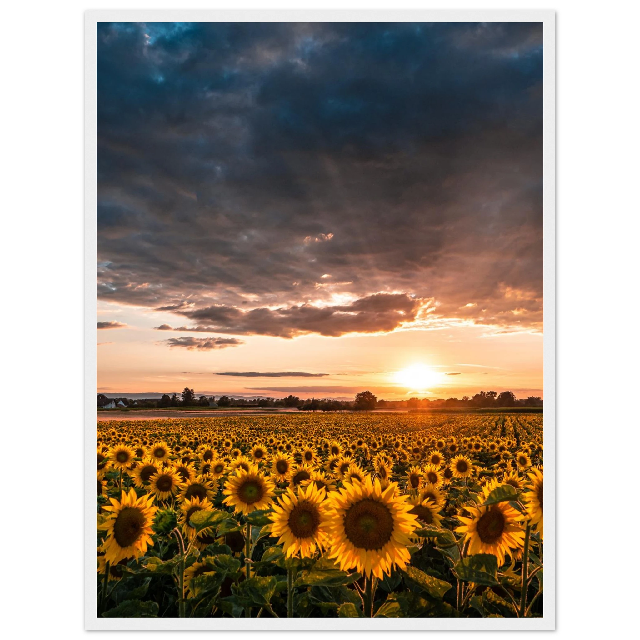 8de59830-9a9d-47e2-b5ee-c59c23298343