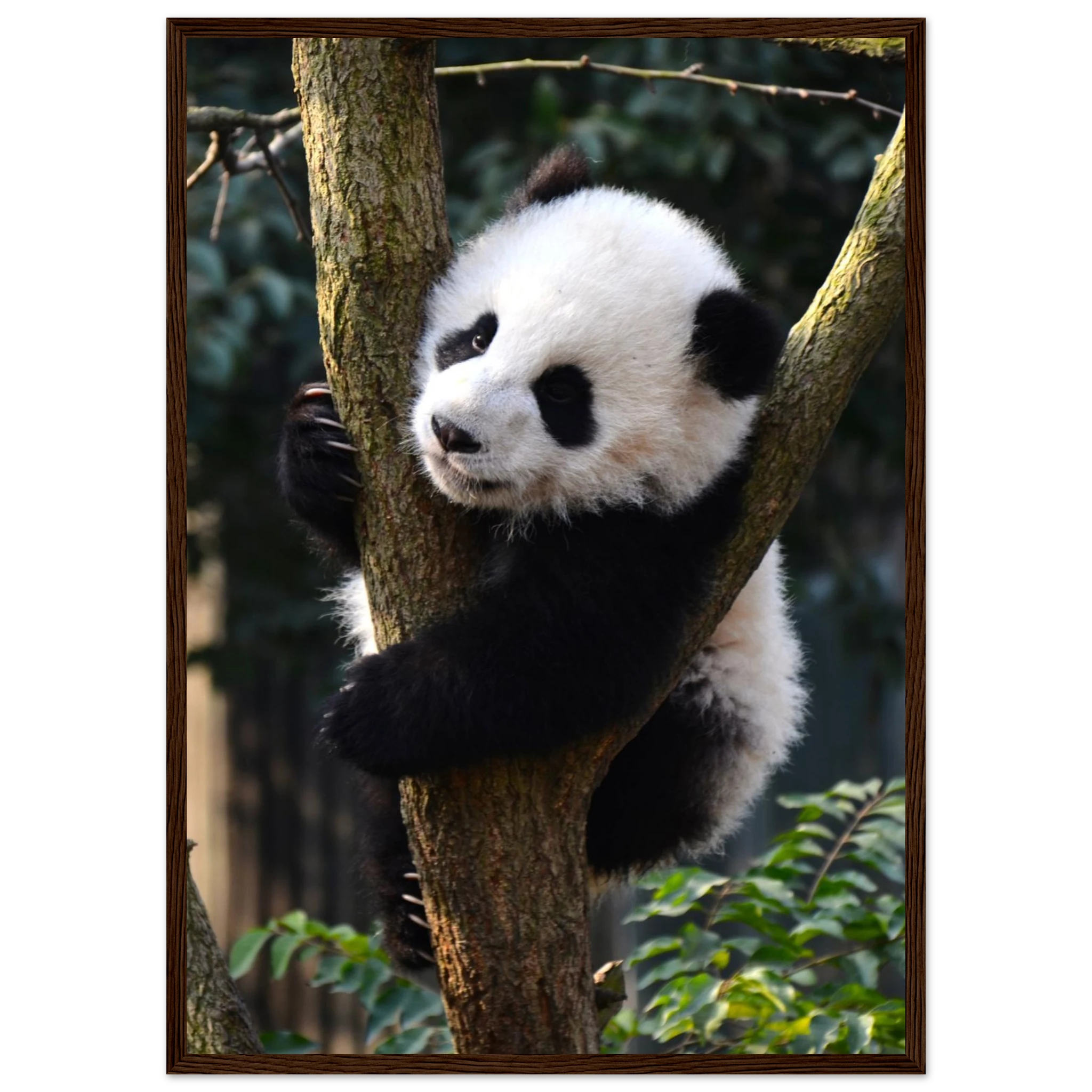 8df14598-c91d-44b5-8be9-0960a8013eef