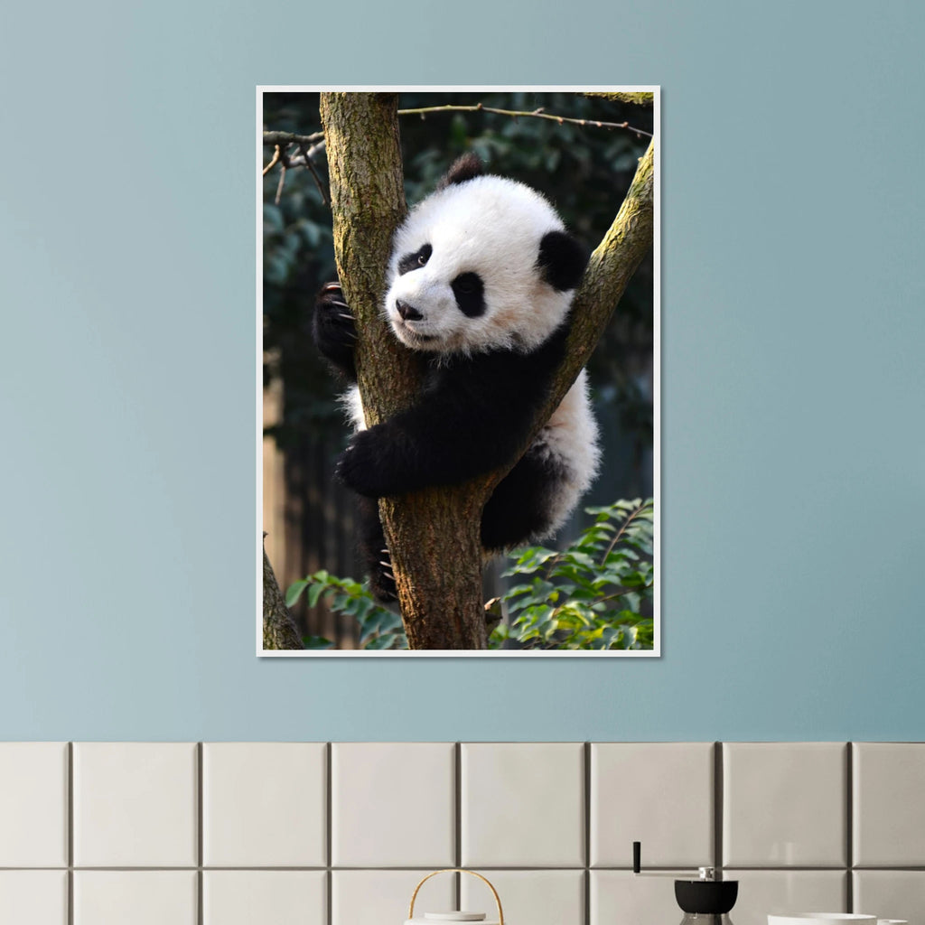 8e140457-a730-4ce8-8c6e-d7fff54308d1