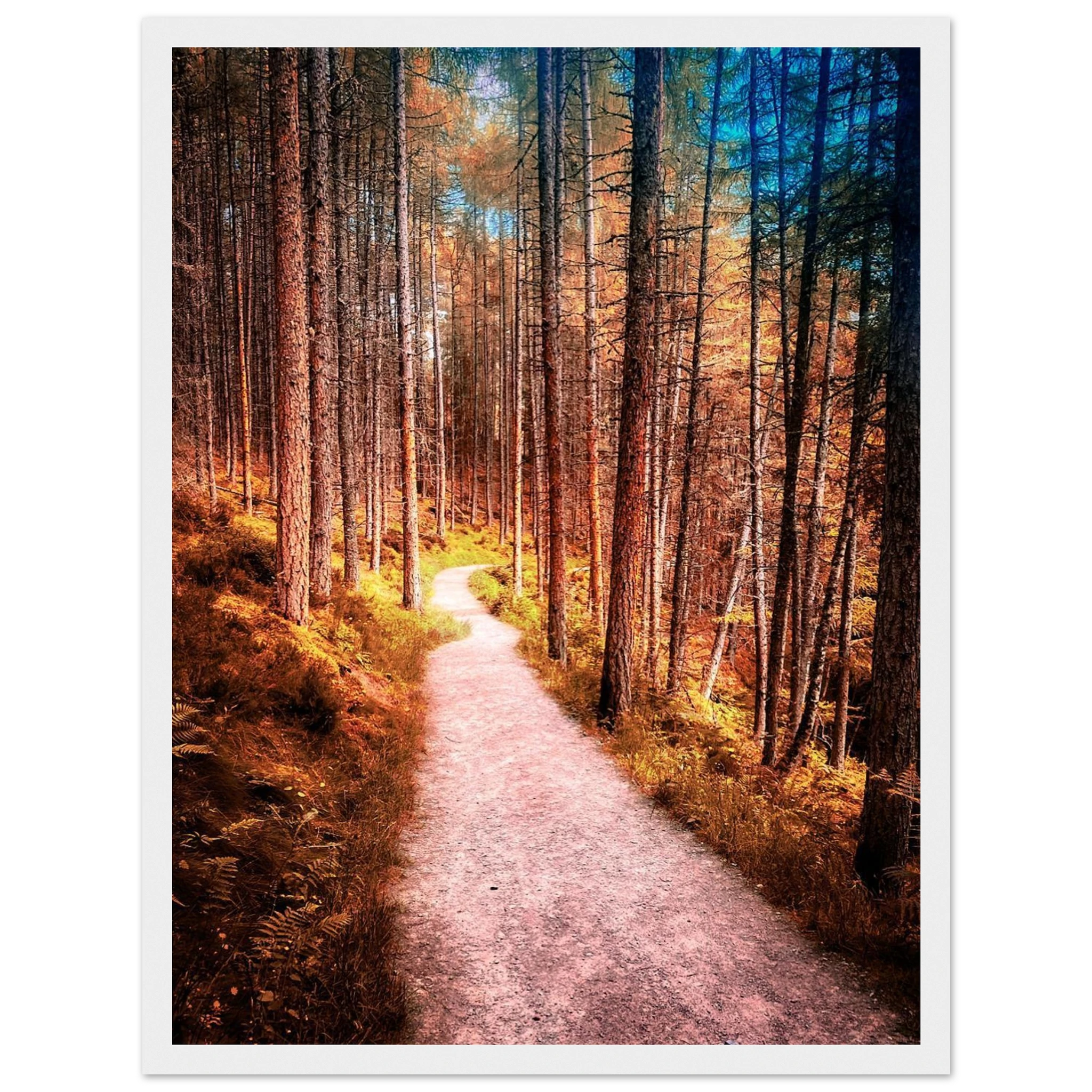 8e1db866-42cf-4515-b536-5574b36f57b6