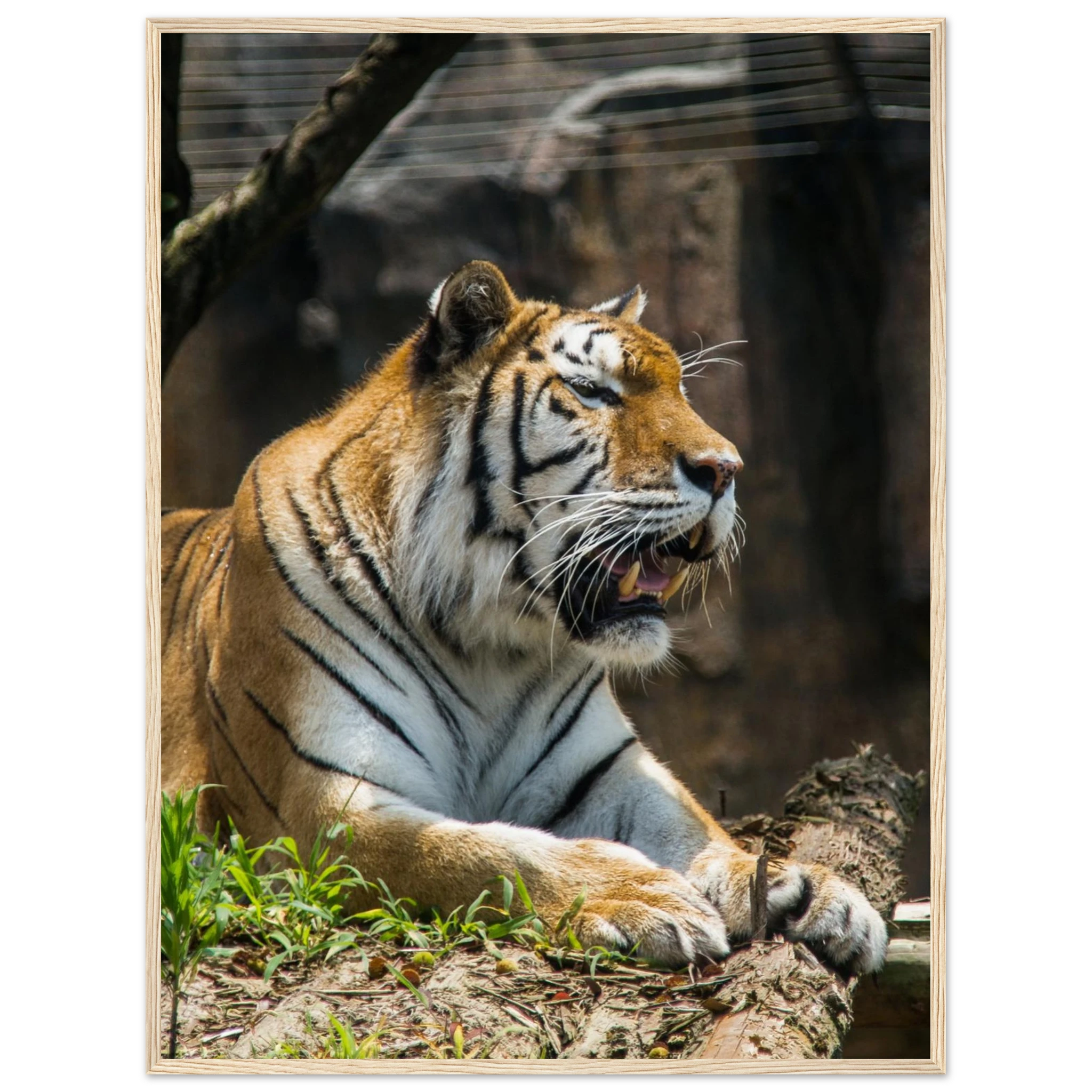 8e232b9e-13a2-41d6-8d9e-2974b26662f2