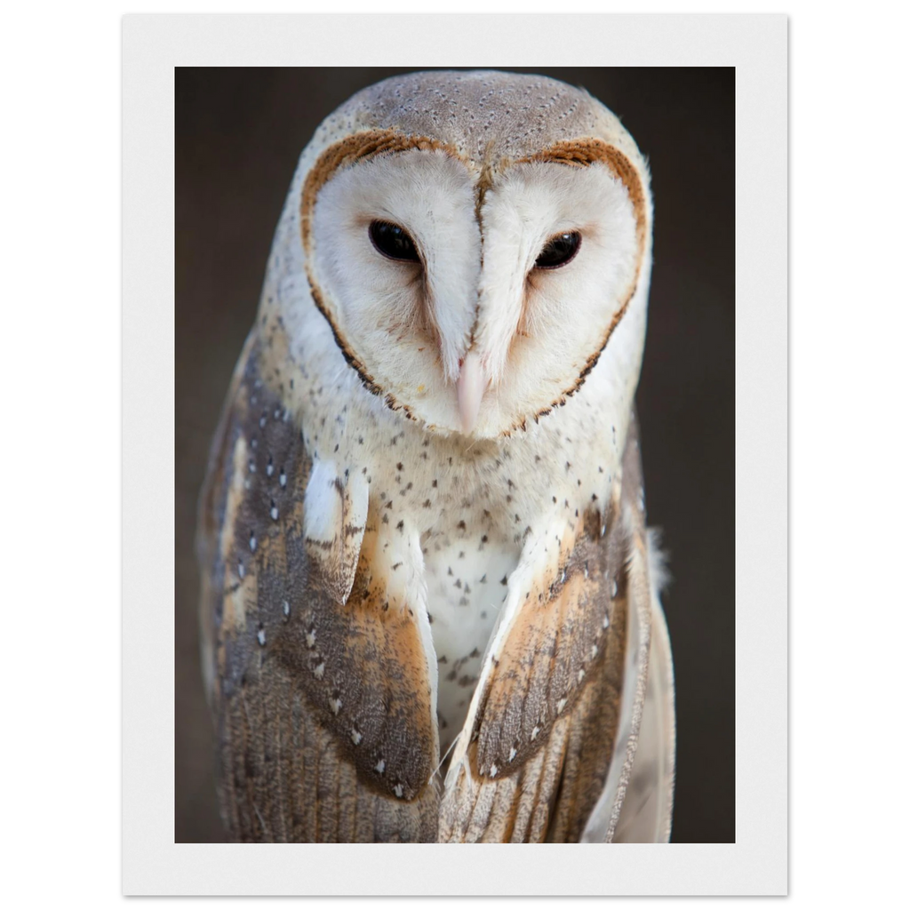 8e2f7e92-fce5-4738-8840-7ba594c53c1b