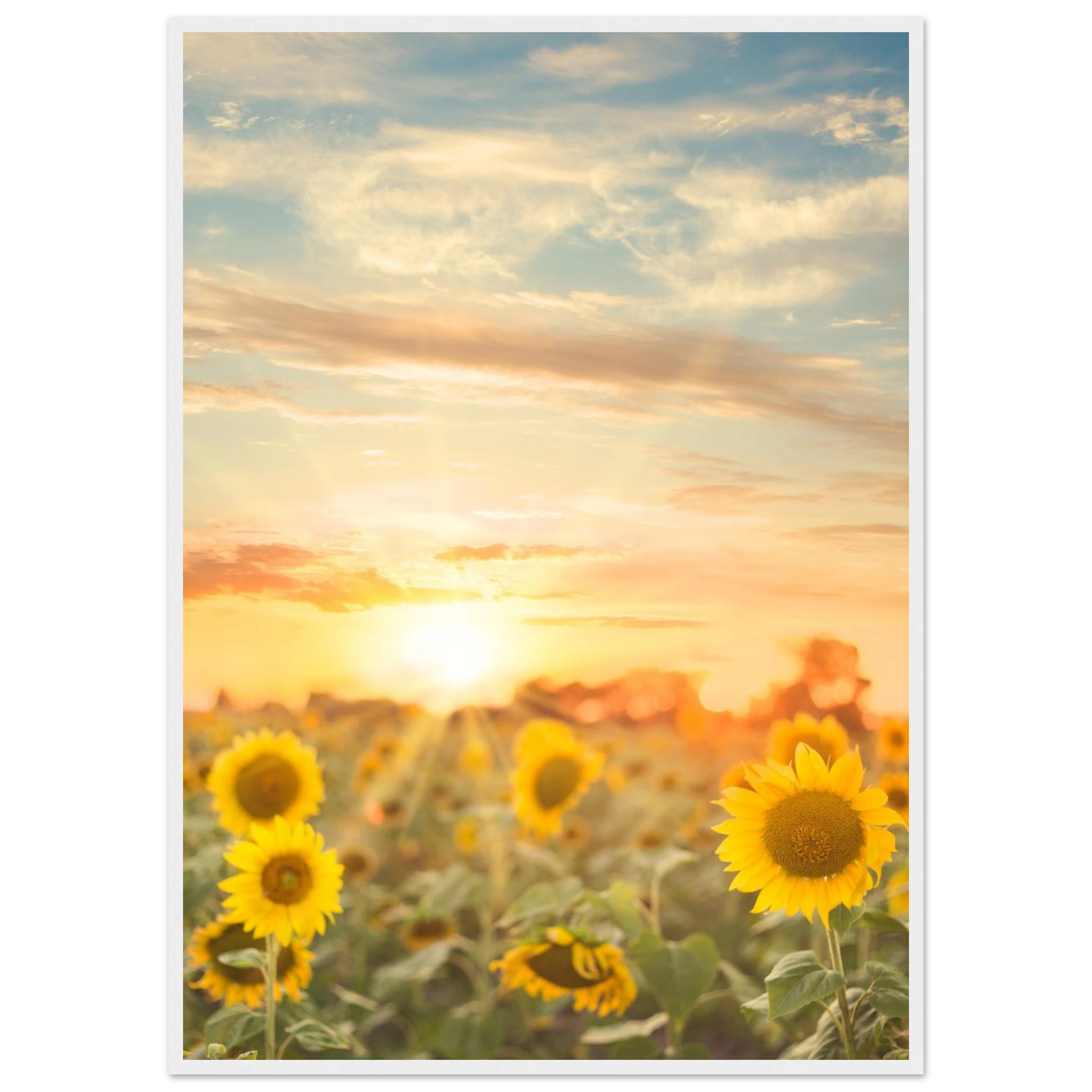 8e36d660-c732-484f-b607-20e65d7c8689