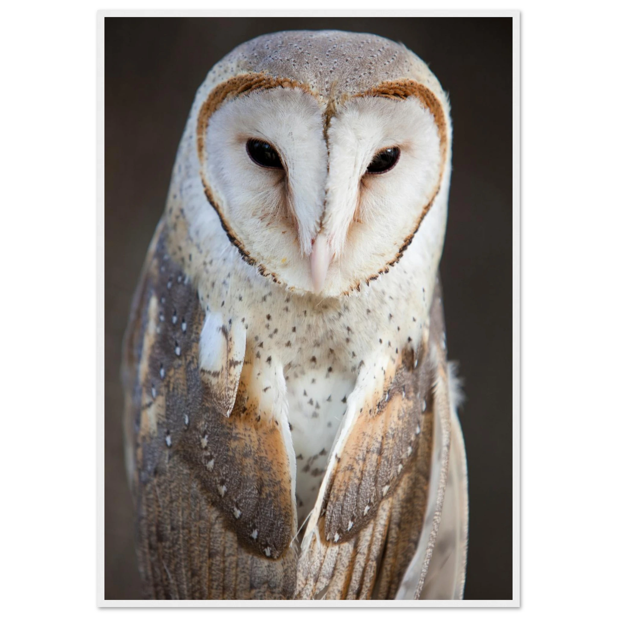 8e3e1d84-1c5b-48d9-ba65-6a47002ce470