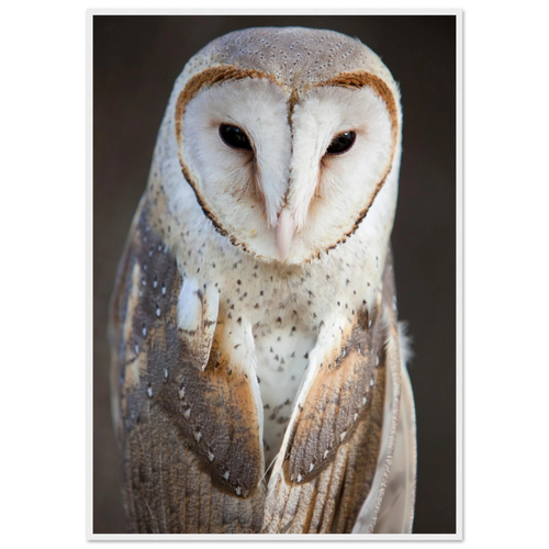 8e3e1d84-1c5b-48d9-ba65-6a47002ce470