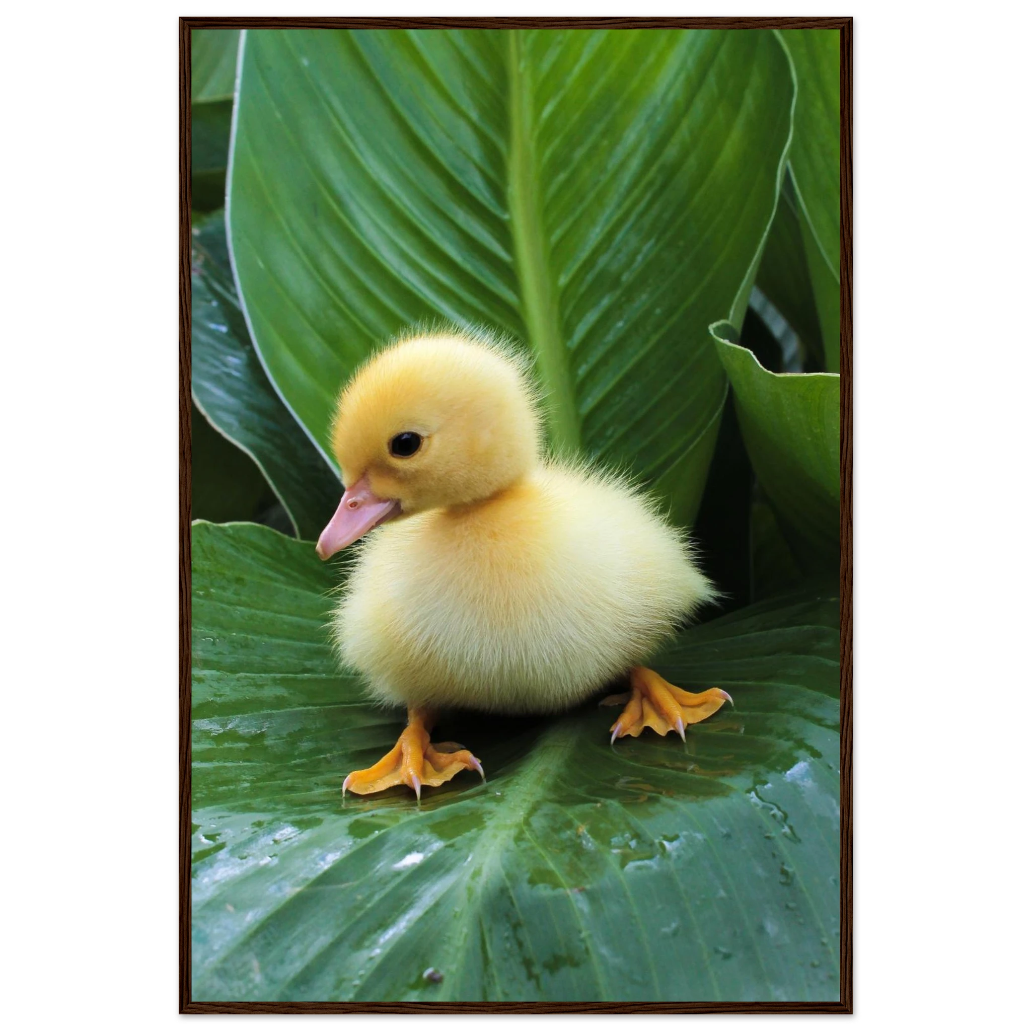 8e41e2e4-24d5-414f-ac36-64b0abbf1300