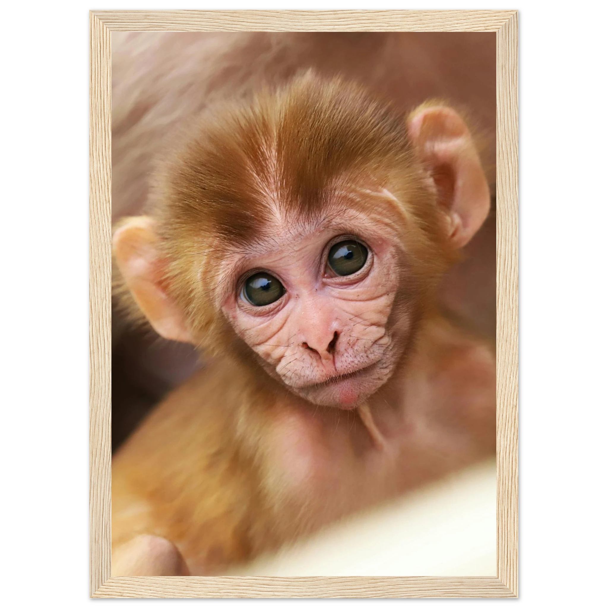 8e433ada-3615-477c-ba6c-f30e6c7b8beb