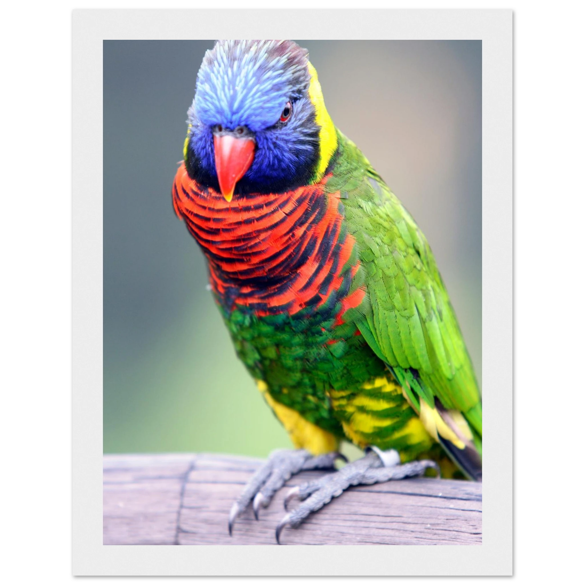 8e53590a-0b94-41c4-ae29-d57bee4b9858