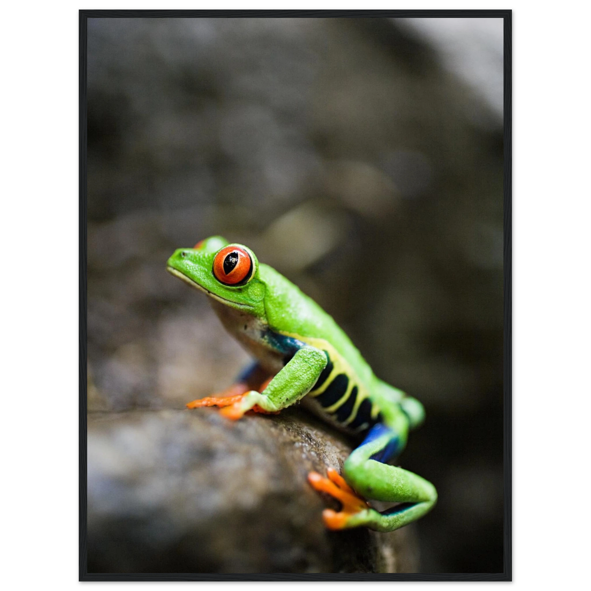 8e5ae565-7f7a-4d59-9a4c-9c3fd2d15bda