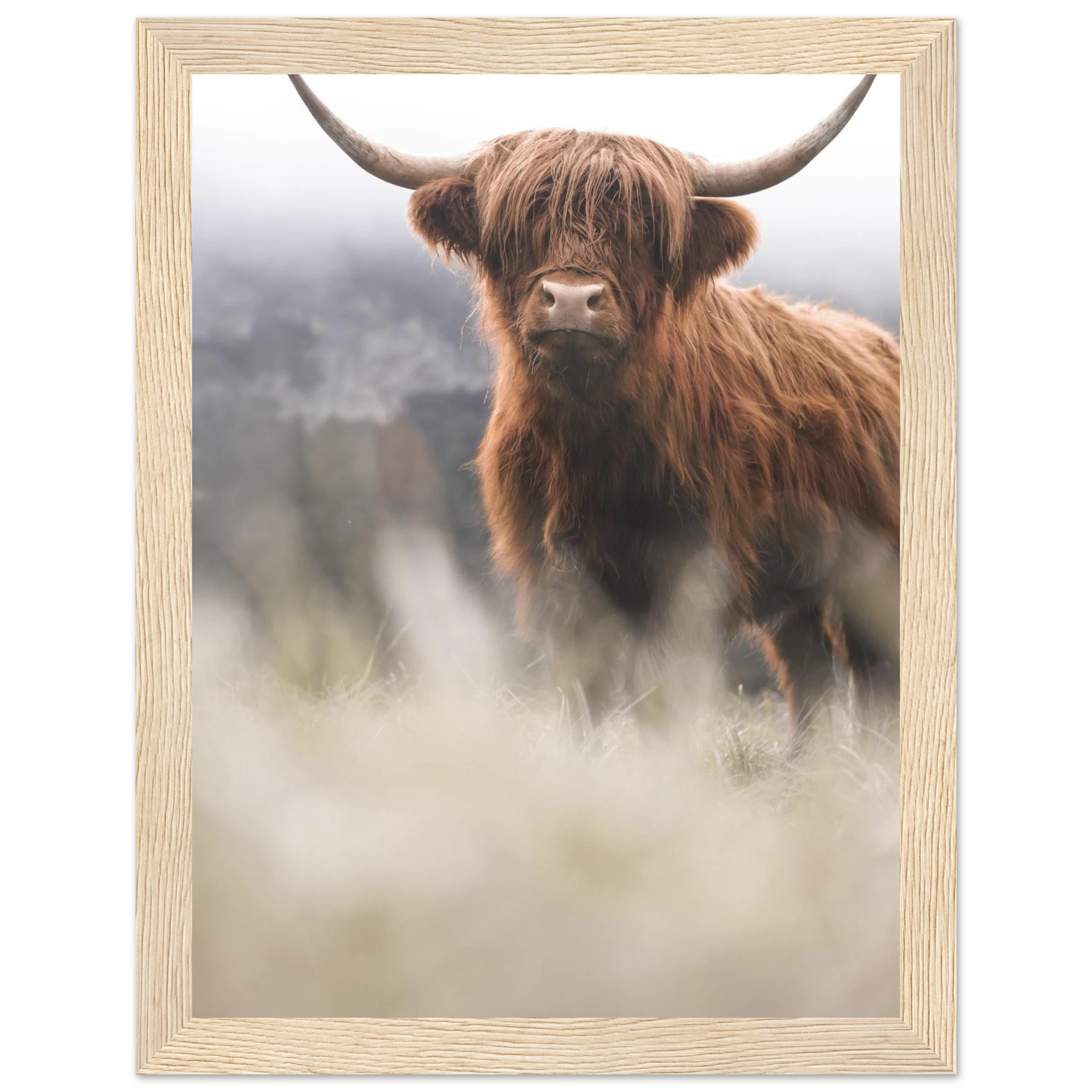 8e664050-2279-4484-ae86-305fb86e6838