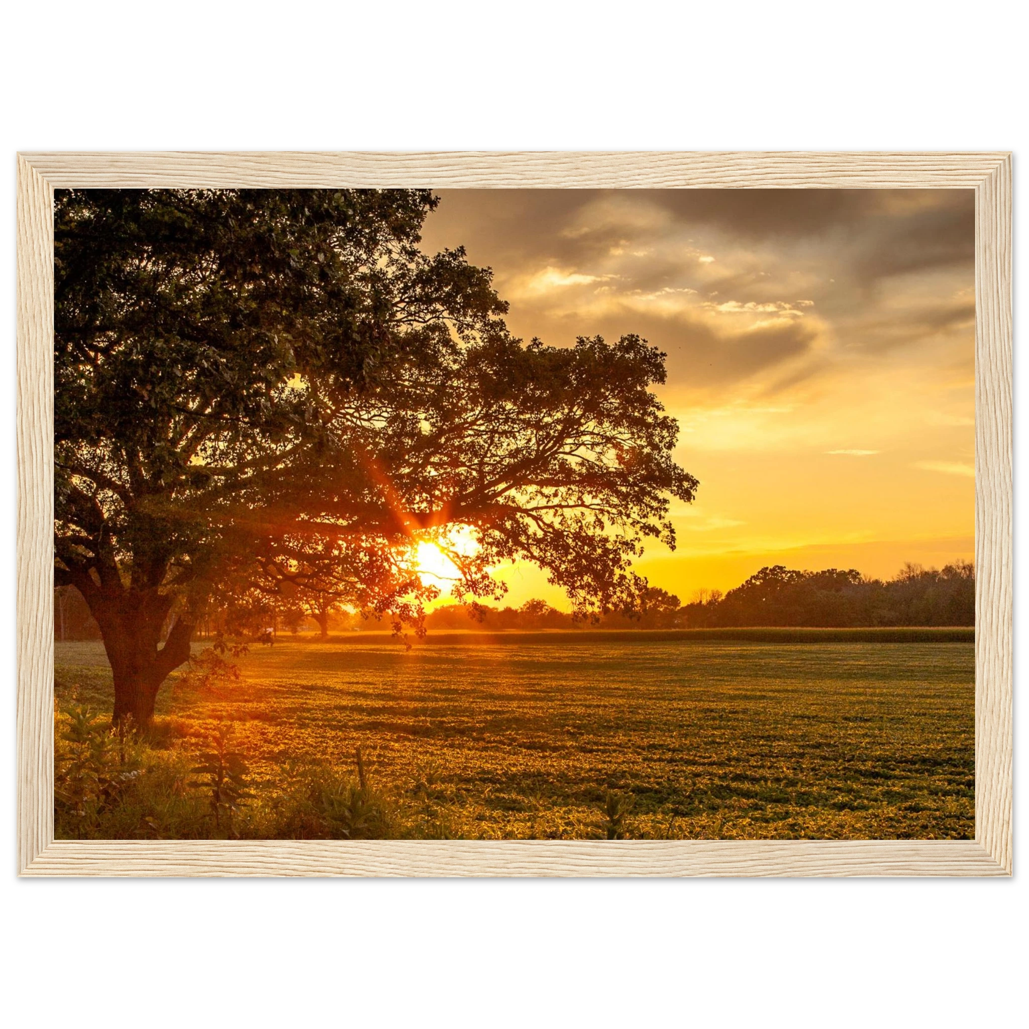 8e80387b-1c5d-4a6b-b882-7a417b3004ed