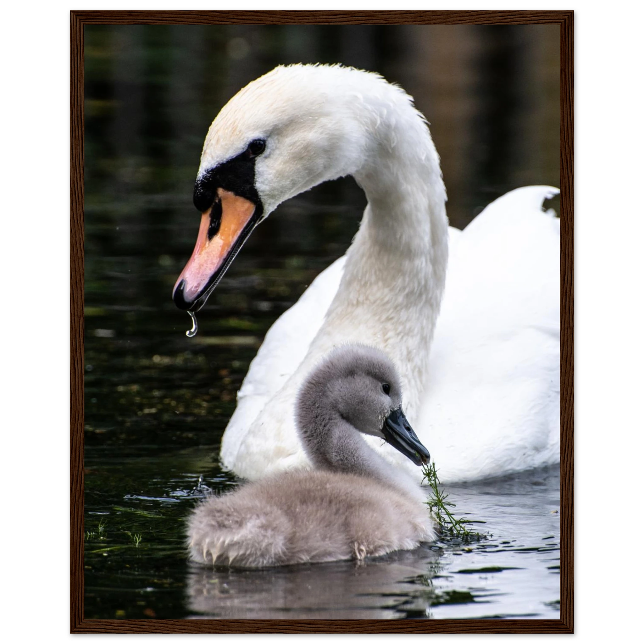 8e936e72-2fab-4690-9c68-c66c15b79999