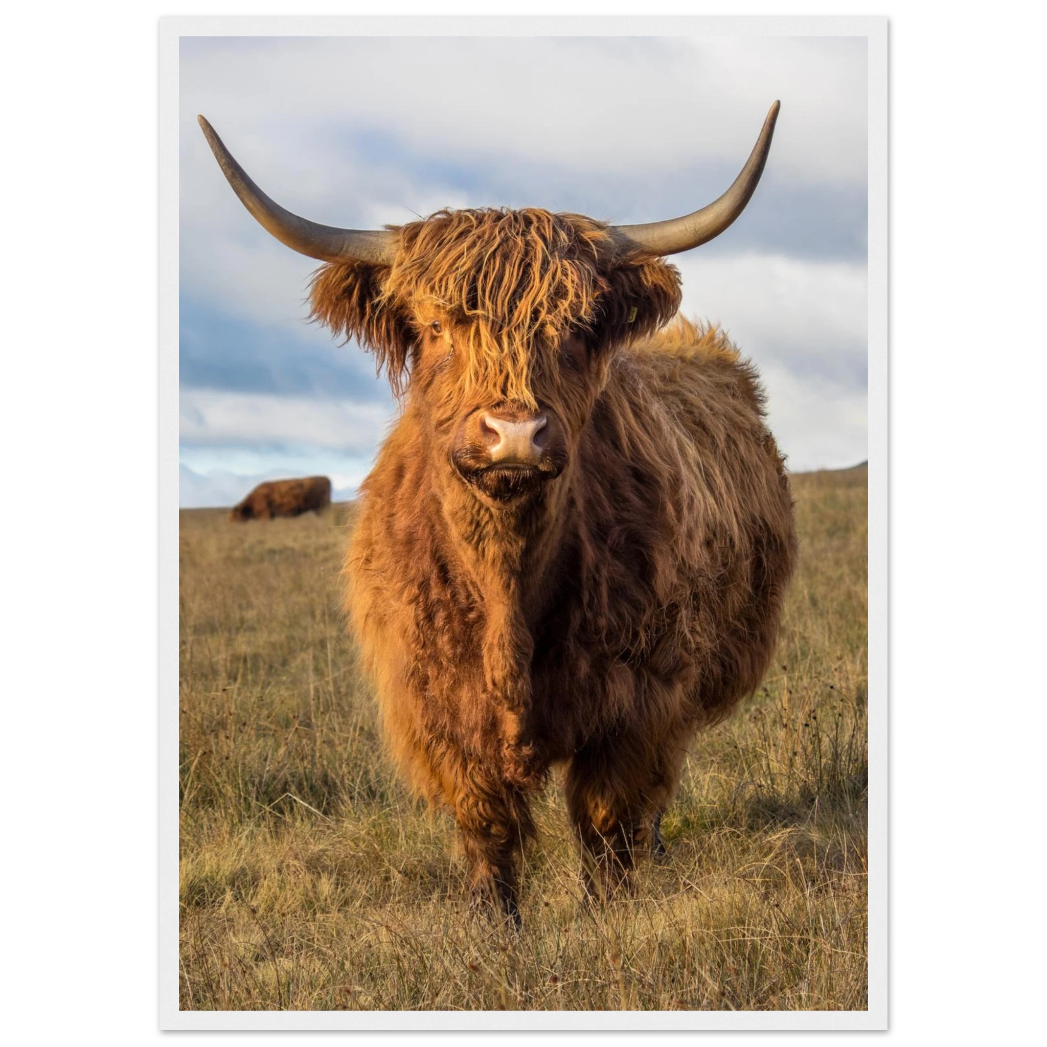 8e990e99-d0e3-4673-b0a4-3313ffd5dc54