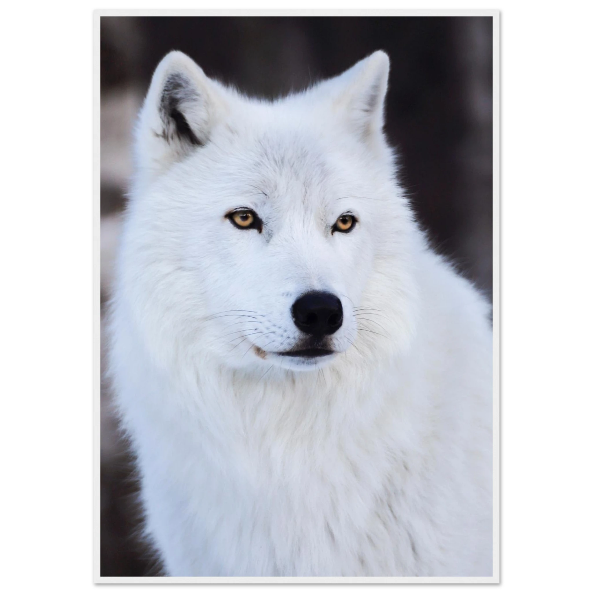 8e9ce139-52ec-4501-8553-17b7d5865860