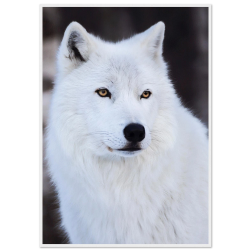 8e9ce139-52ec-4501-8553-17b7d5865860