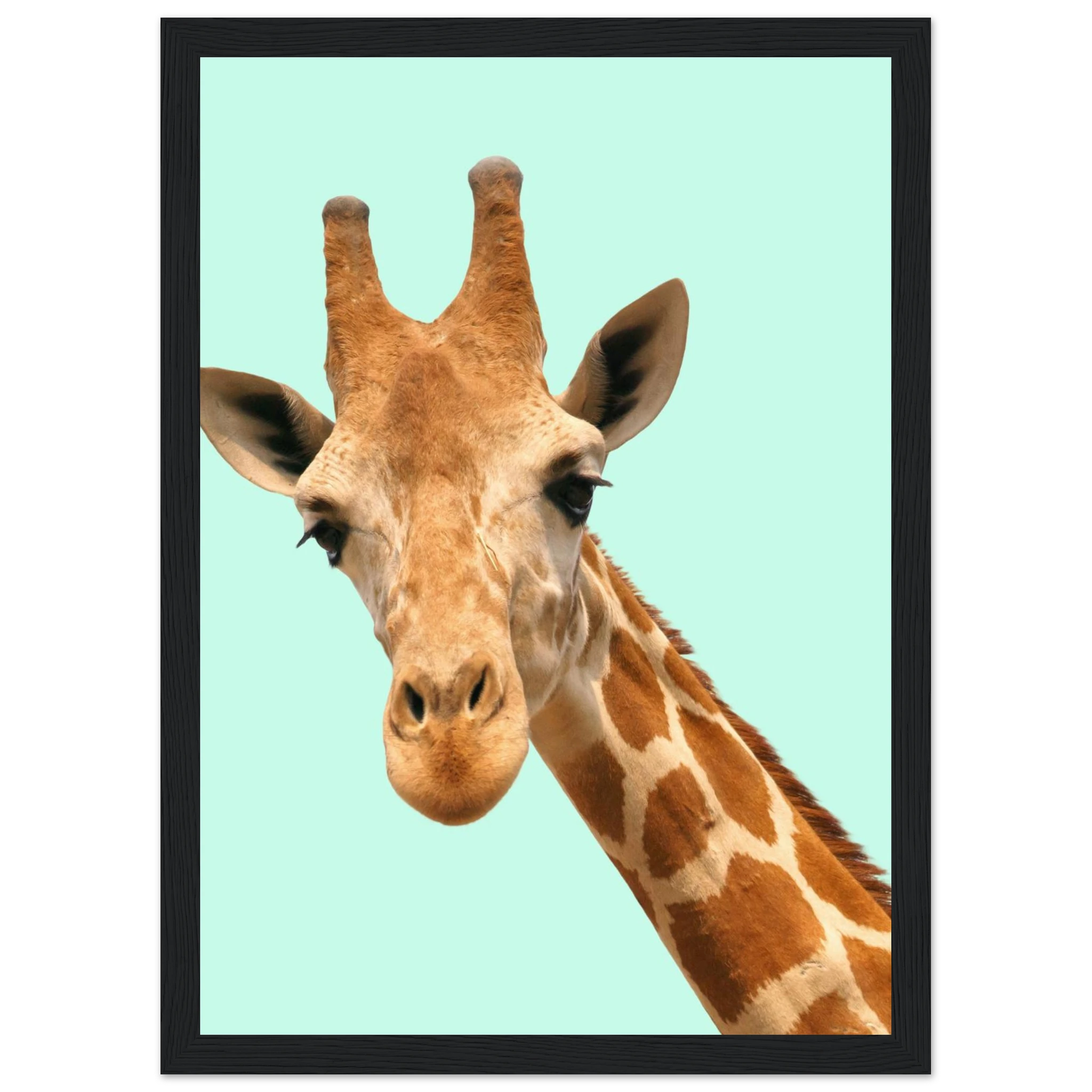 8ee0d66c-e732-4d8b-a3f3-1ae00eba030d