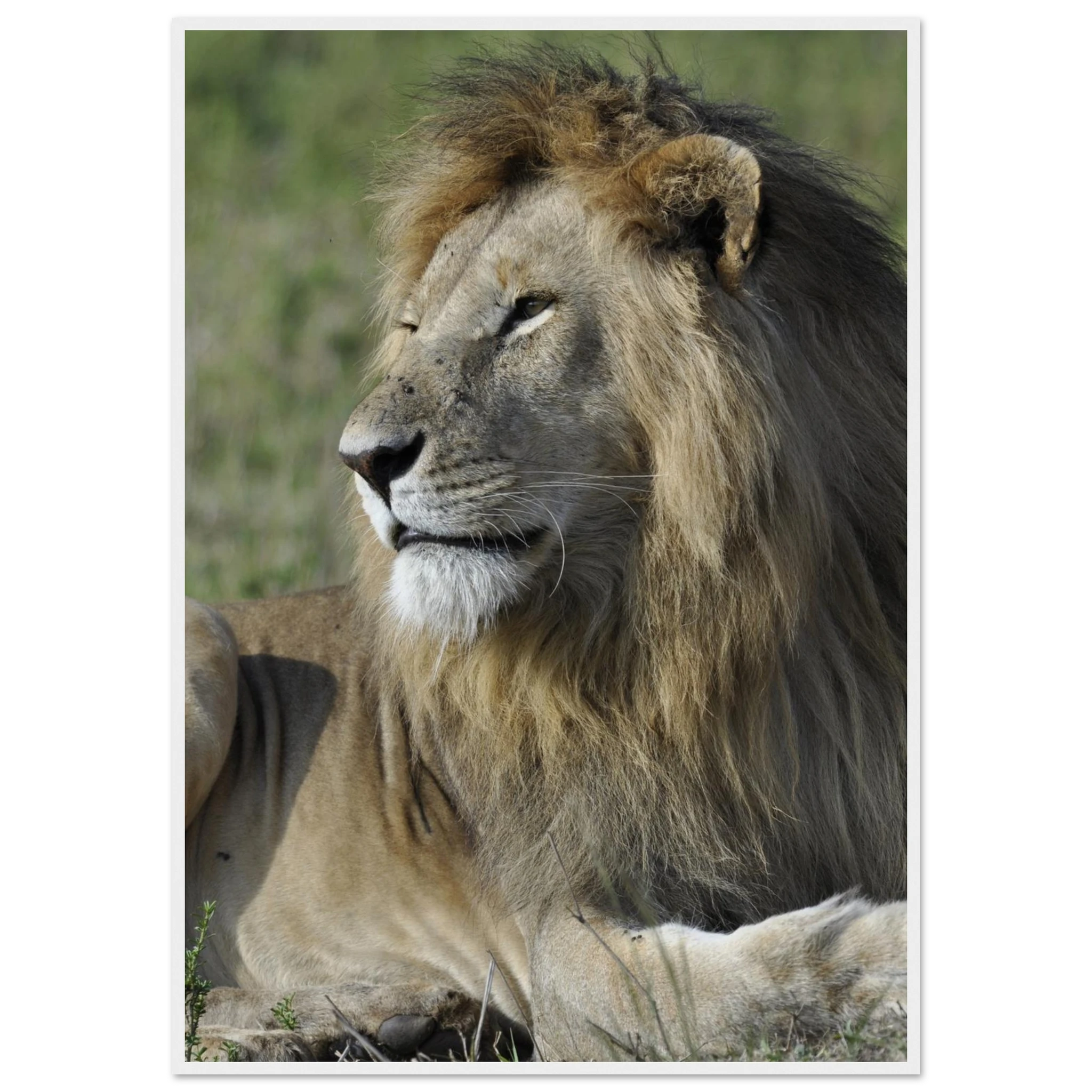 8ee54576-676d-4d3d-8573-16be51fdbe80