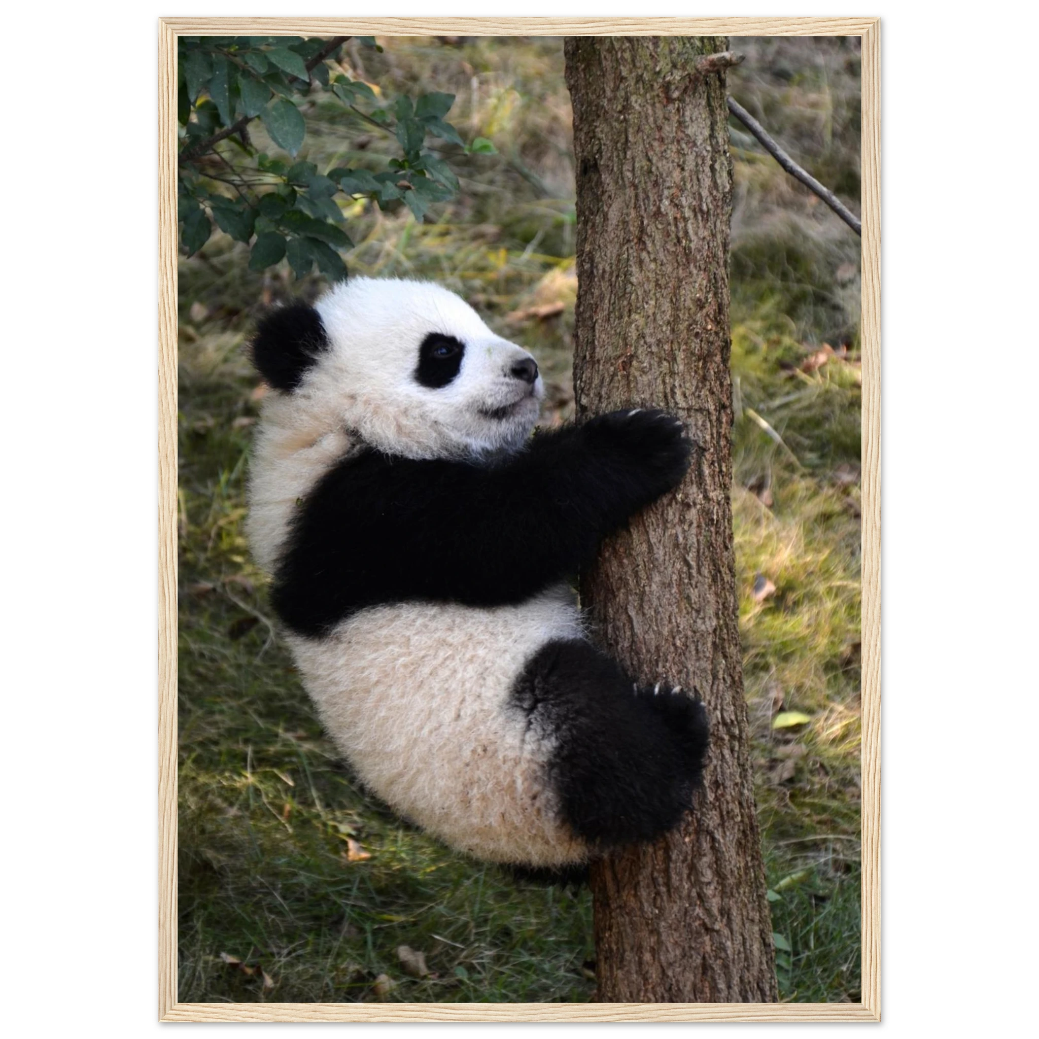 8f16b6ab-b181-4876-88b0-cce9fc835848