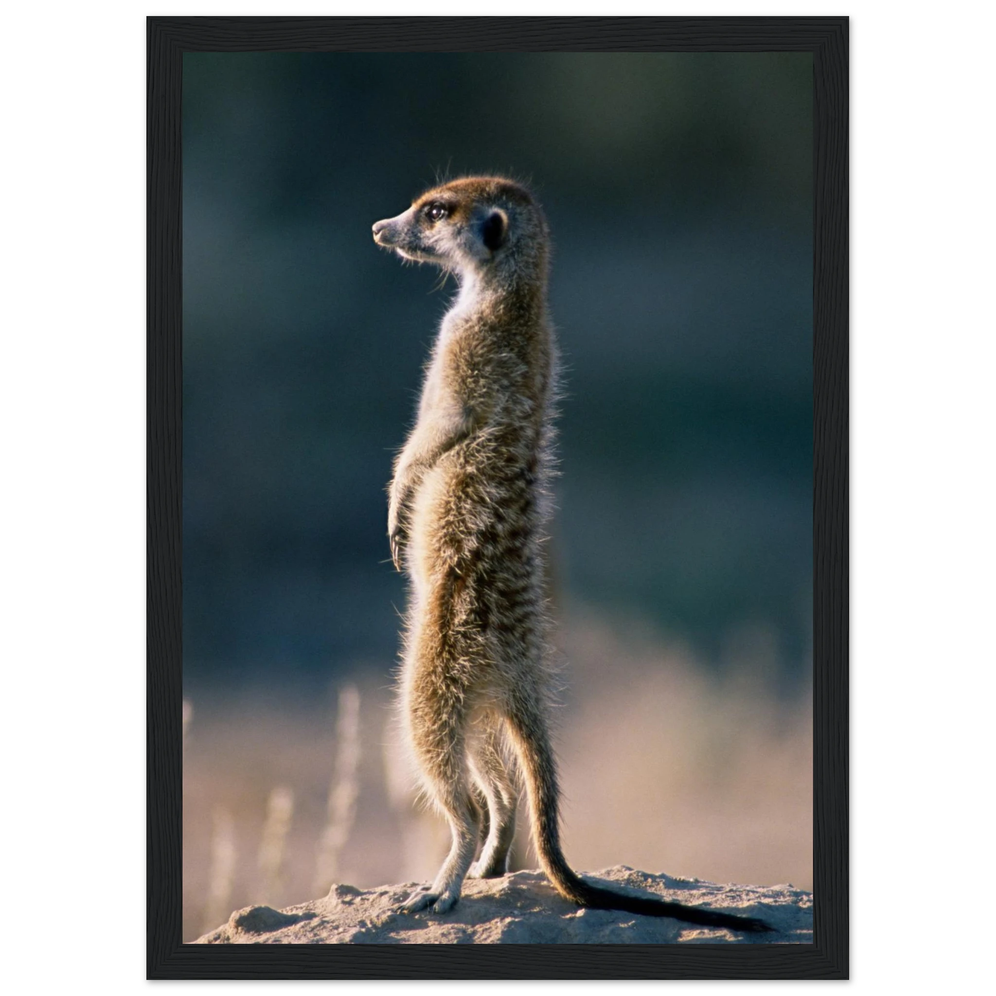 8f21b740-8a86-43a7-8660-f17181b39427